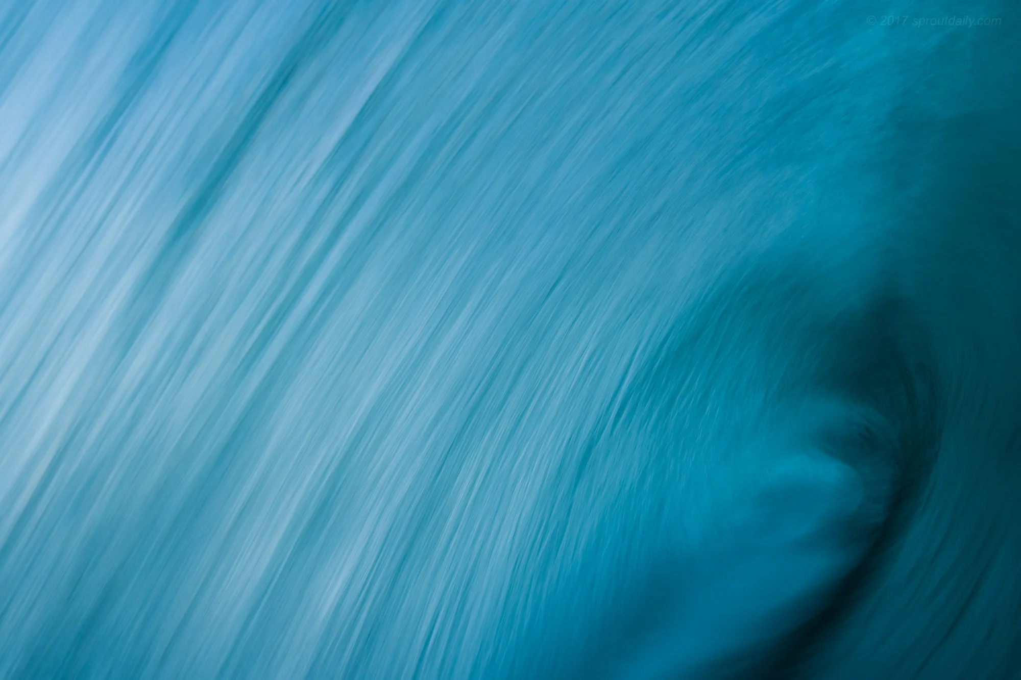 Curtain