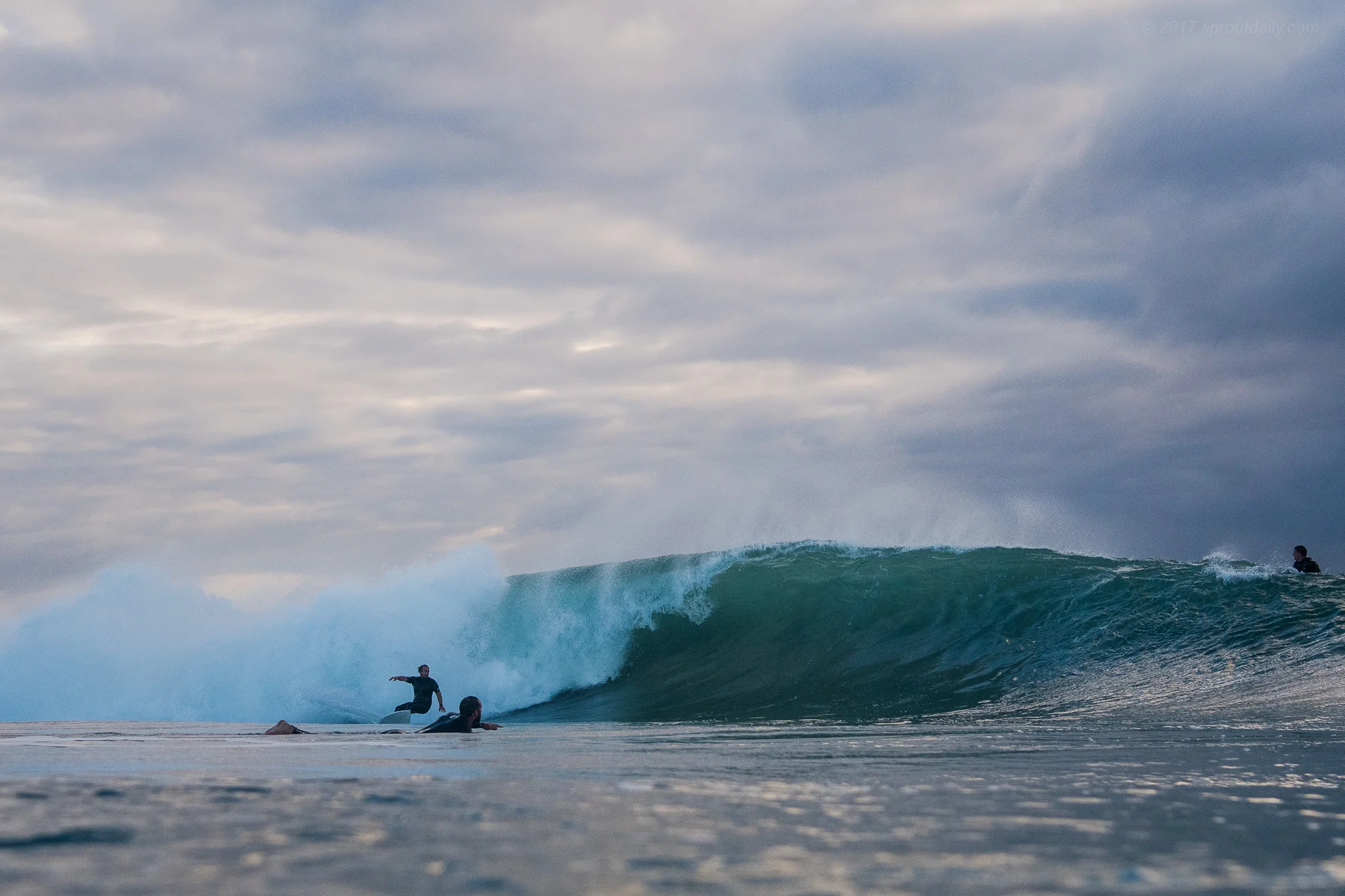 Craig rounding on a roughy