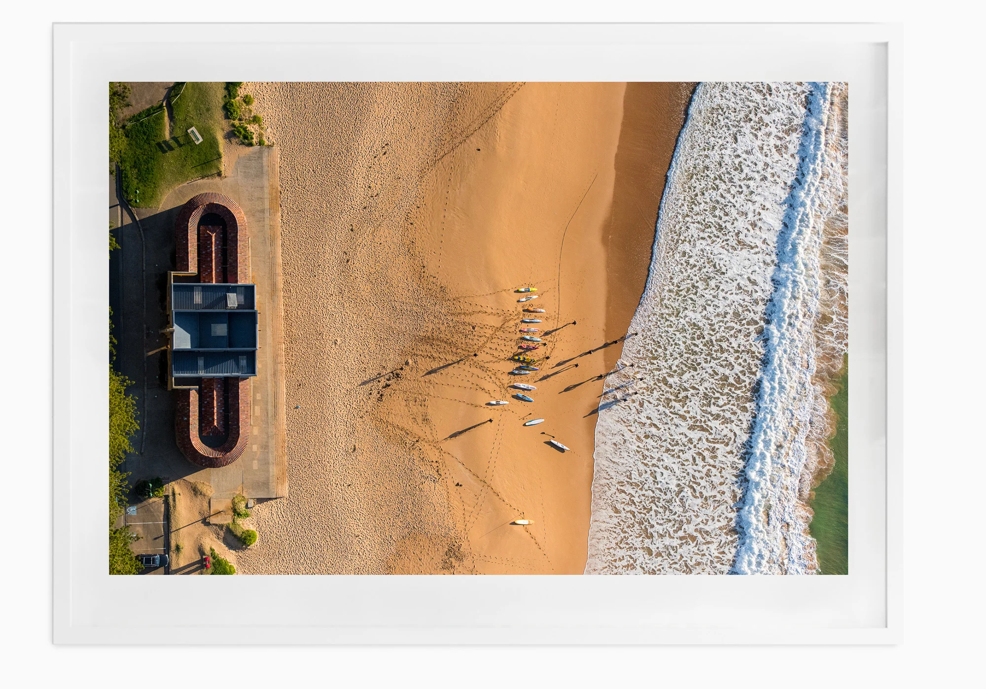 mfsprout_20170602_1172-White-Frame.jpg