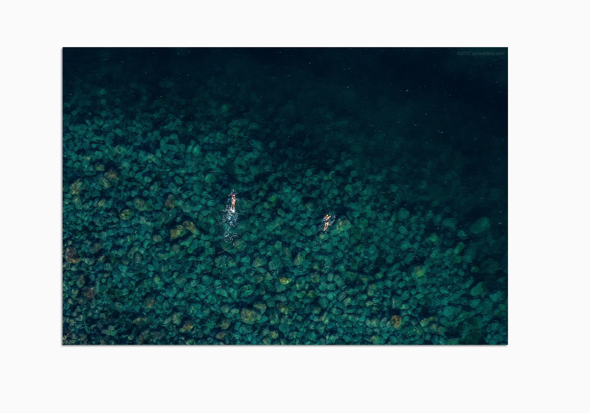 mfsprout_20140529_383-acrylic-frame.jpg