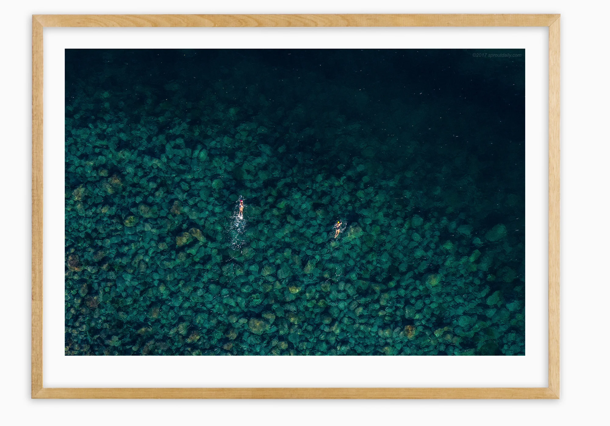 mfsprout_20140529_383-tassy-oak-frame.jpg