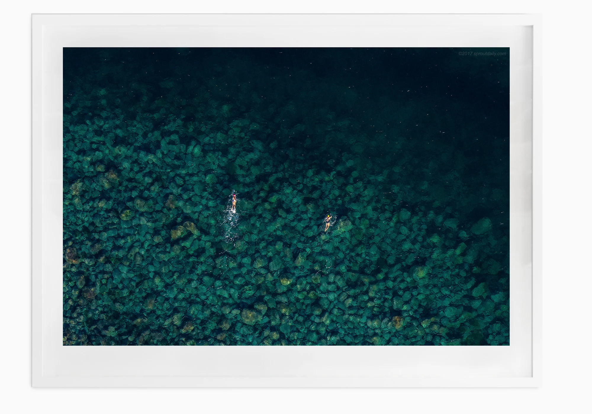 mfsprout_20140529_383-white-frame.jpg