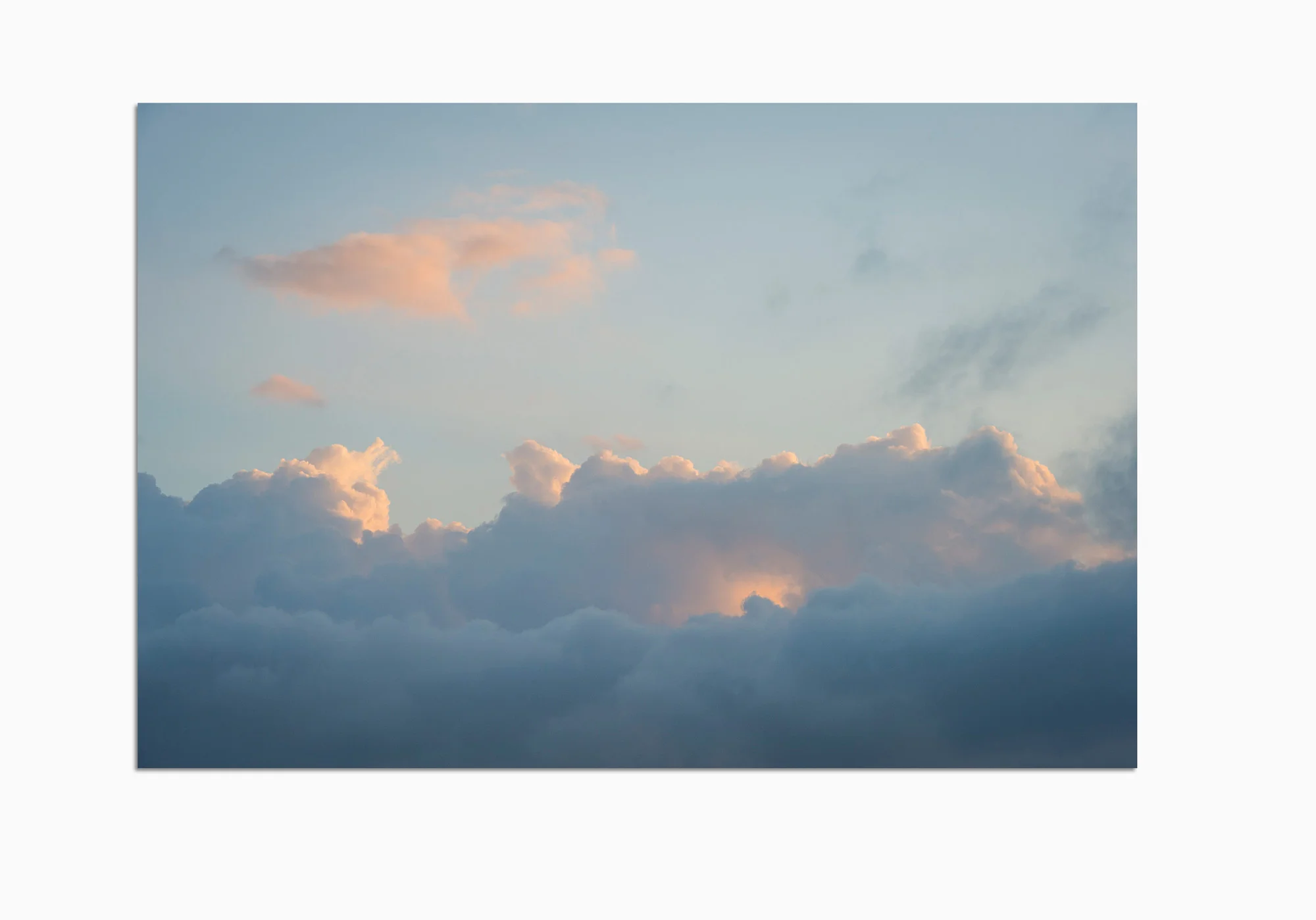 mfsprout_20160219_153-Acrylic-Frame.jpg