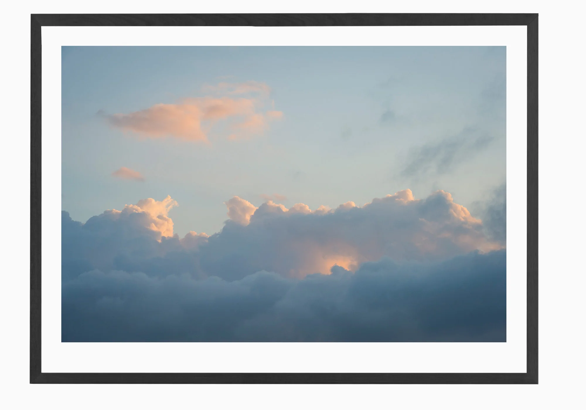 mfsprout_20160219_153-Black-Frame.jpg