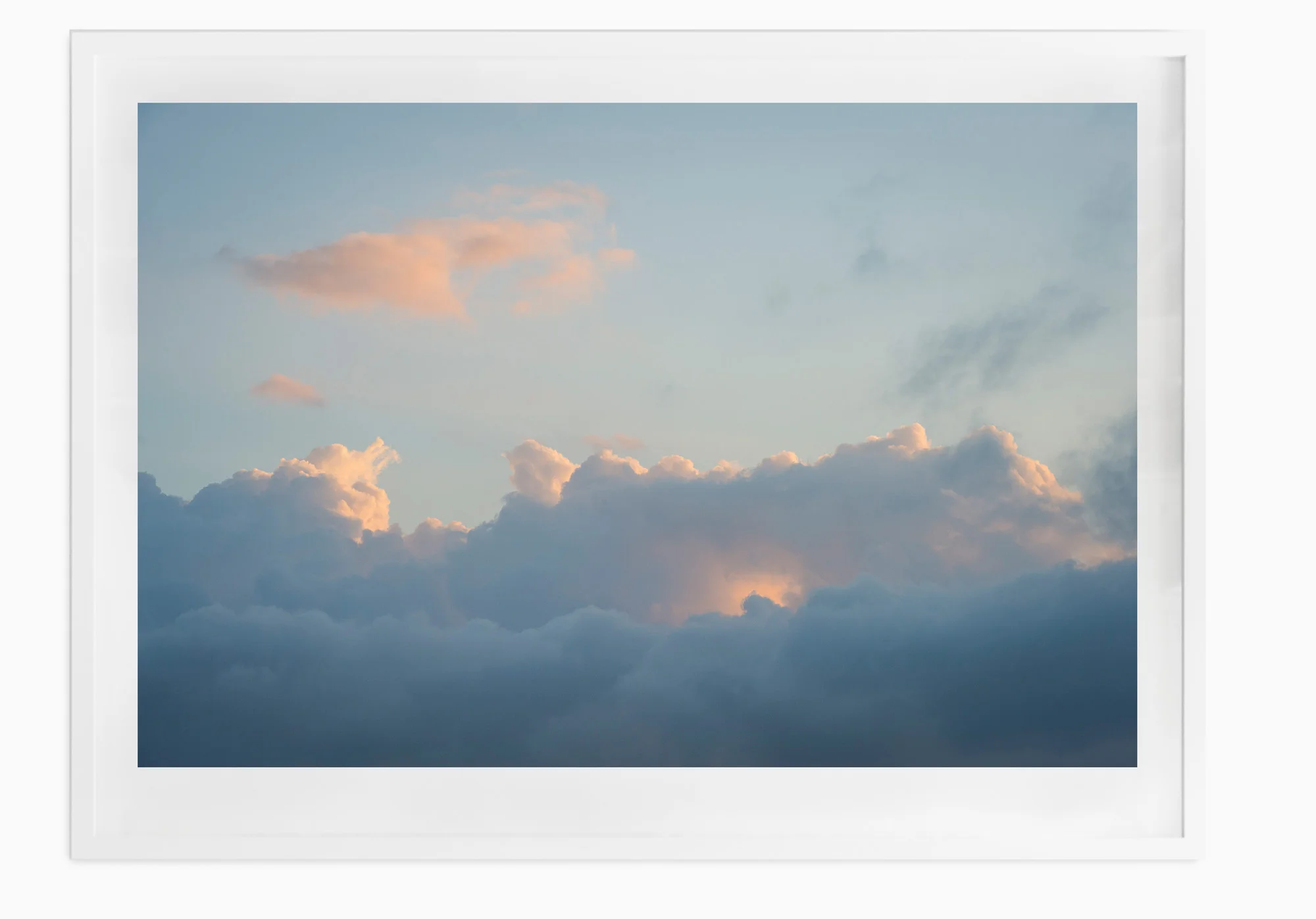 mfsprout_20160219_153-White-Frame.jpg