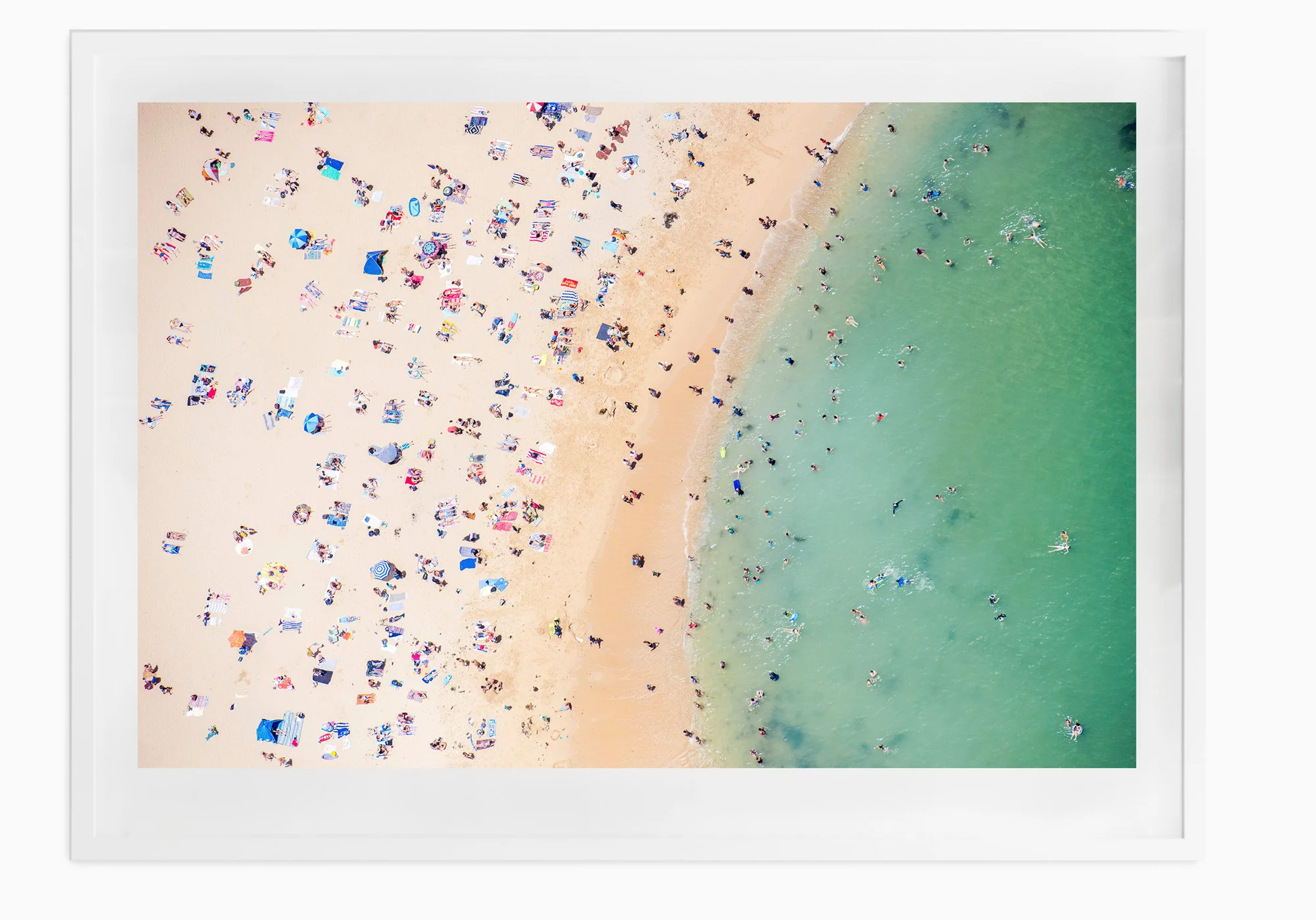mfsprout-White-Frame.jpg