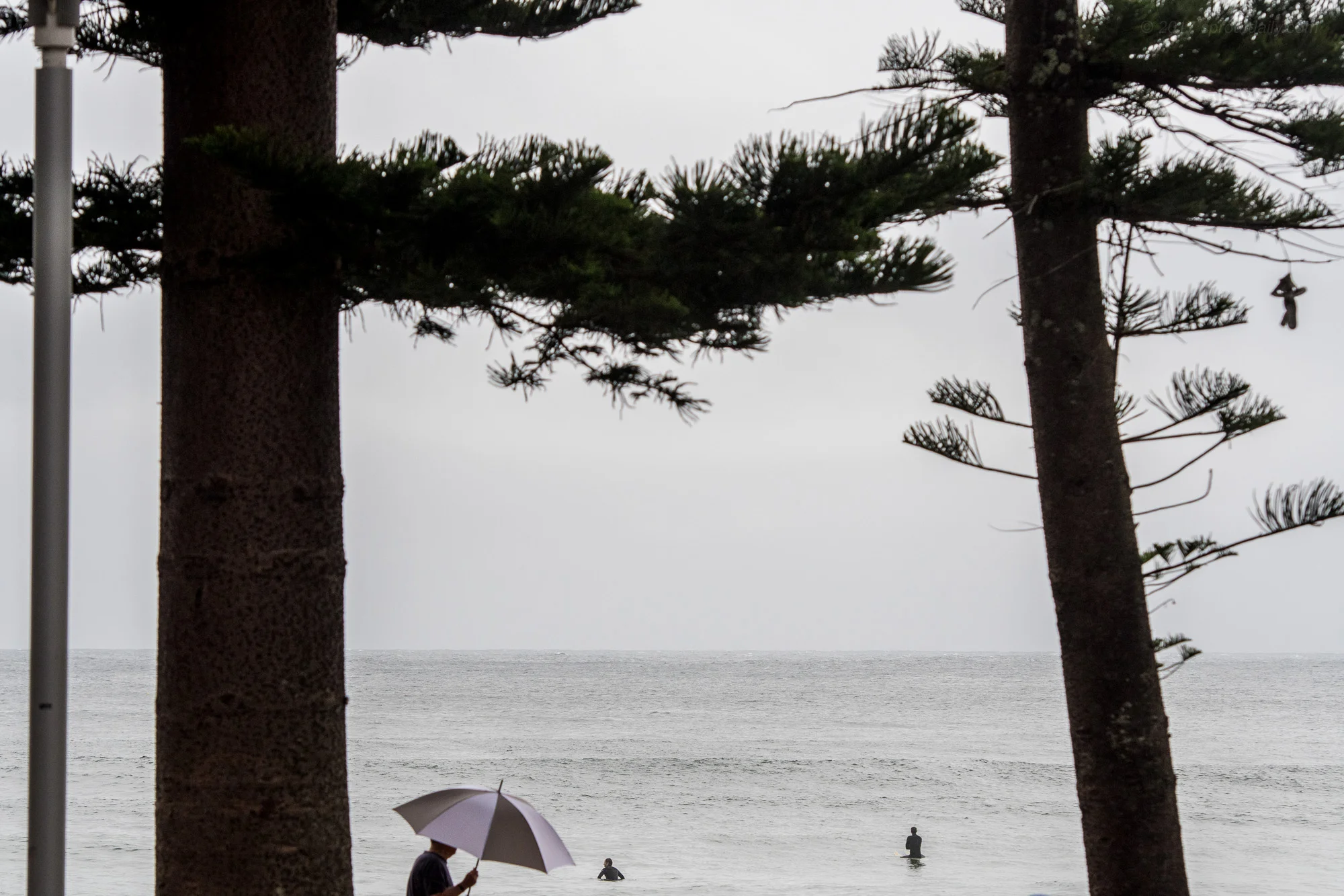 Hello Summer?