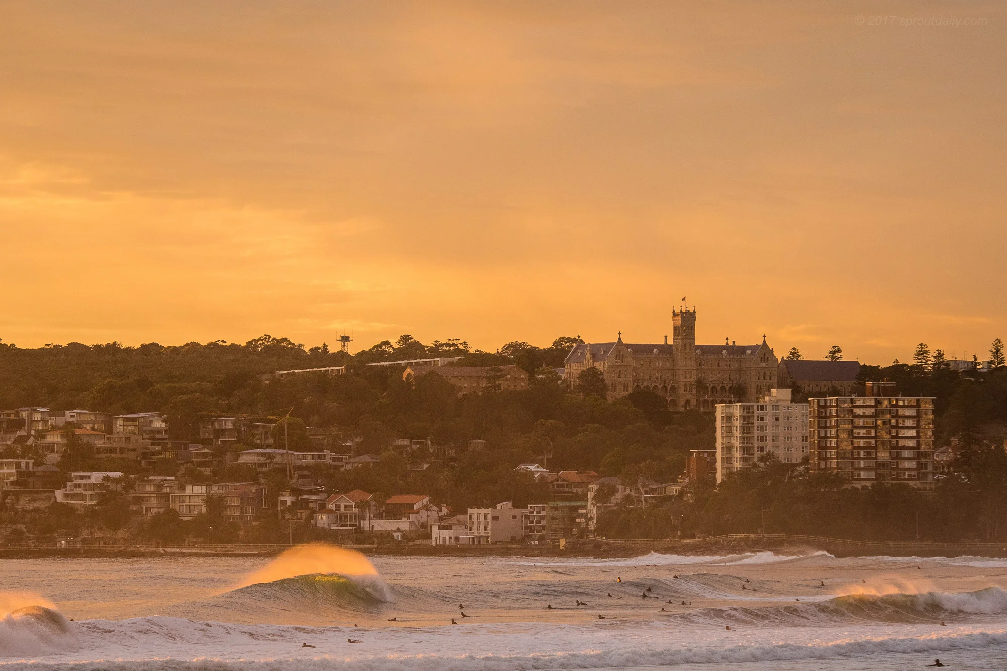 Trifecta