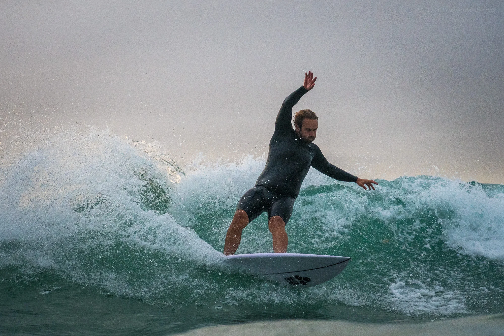Bonzer Master My Craig Reynolds