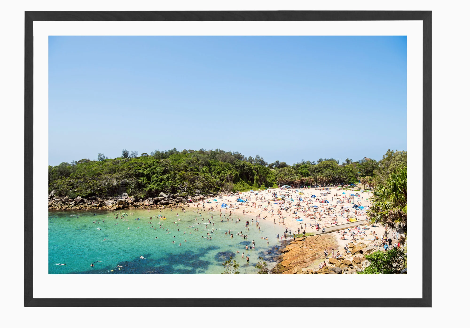 mfsprout__20180101_368-Black-Frame.jpg