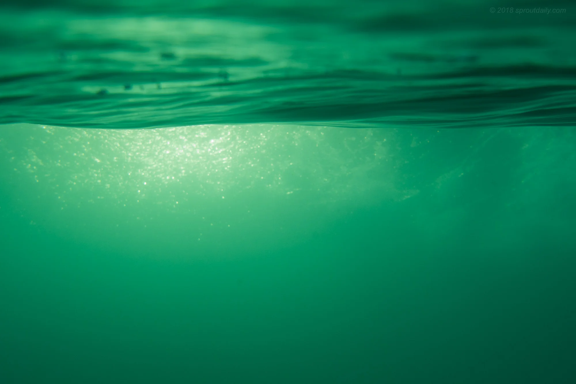 Sub Surface Texture