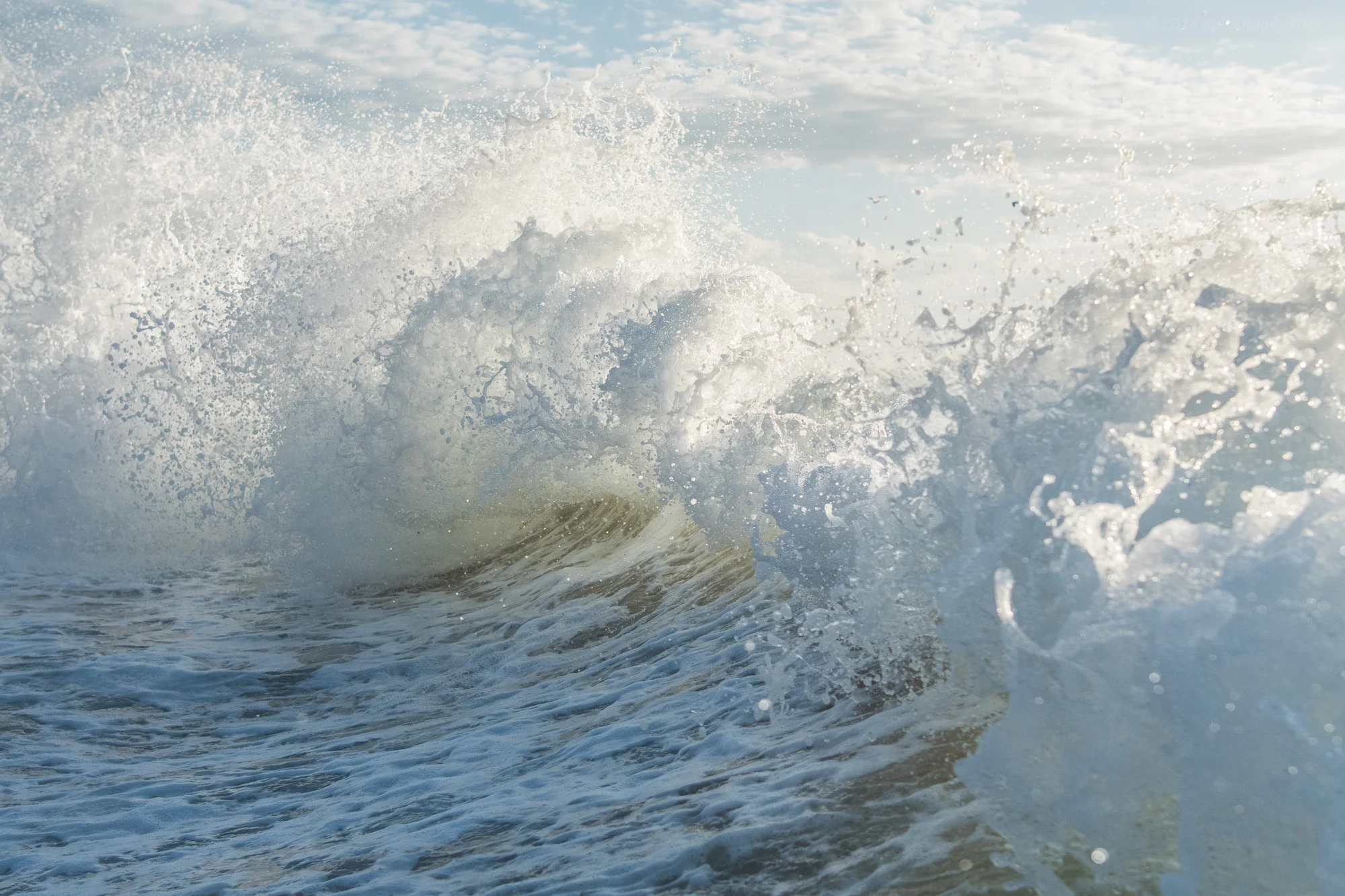 Backwash