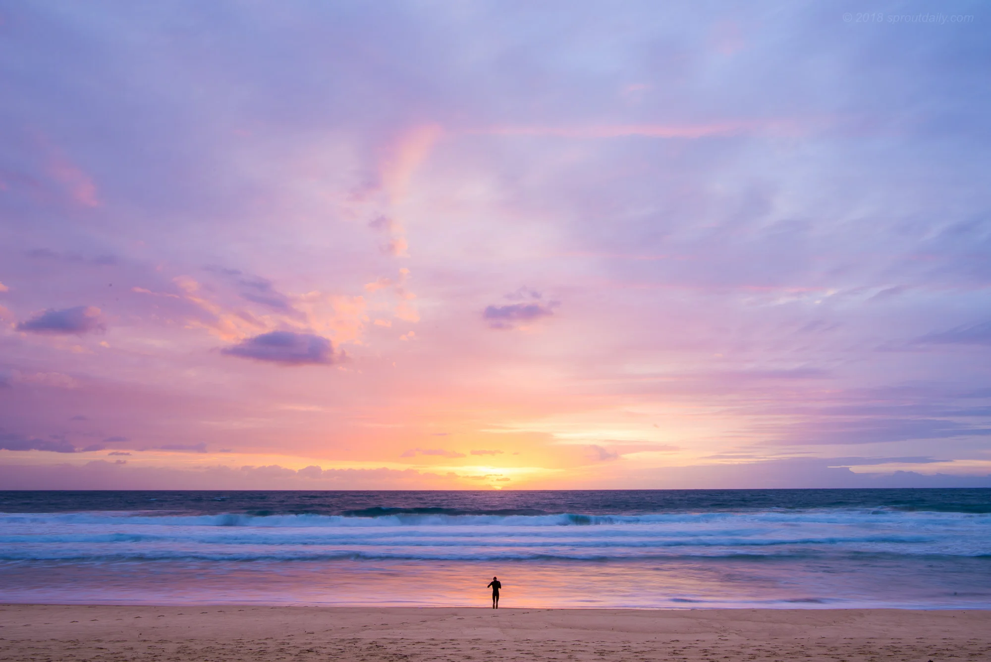 Remember Sunrise?