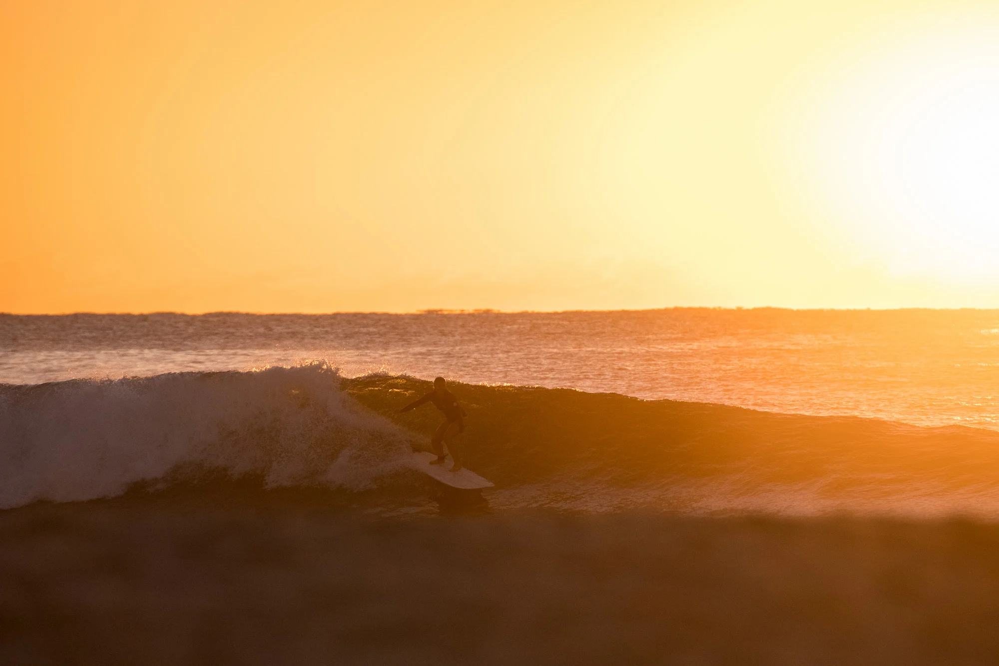 Sun Blown Left