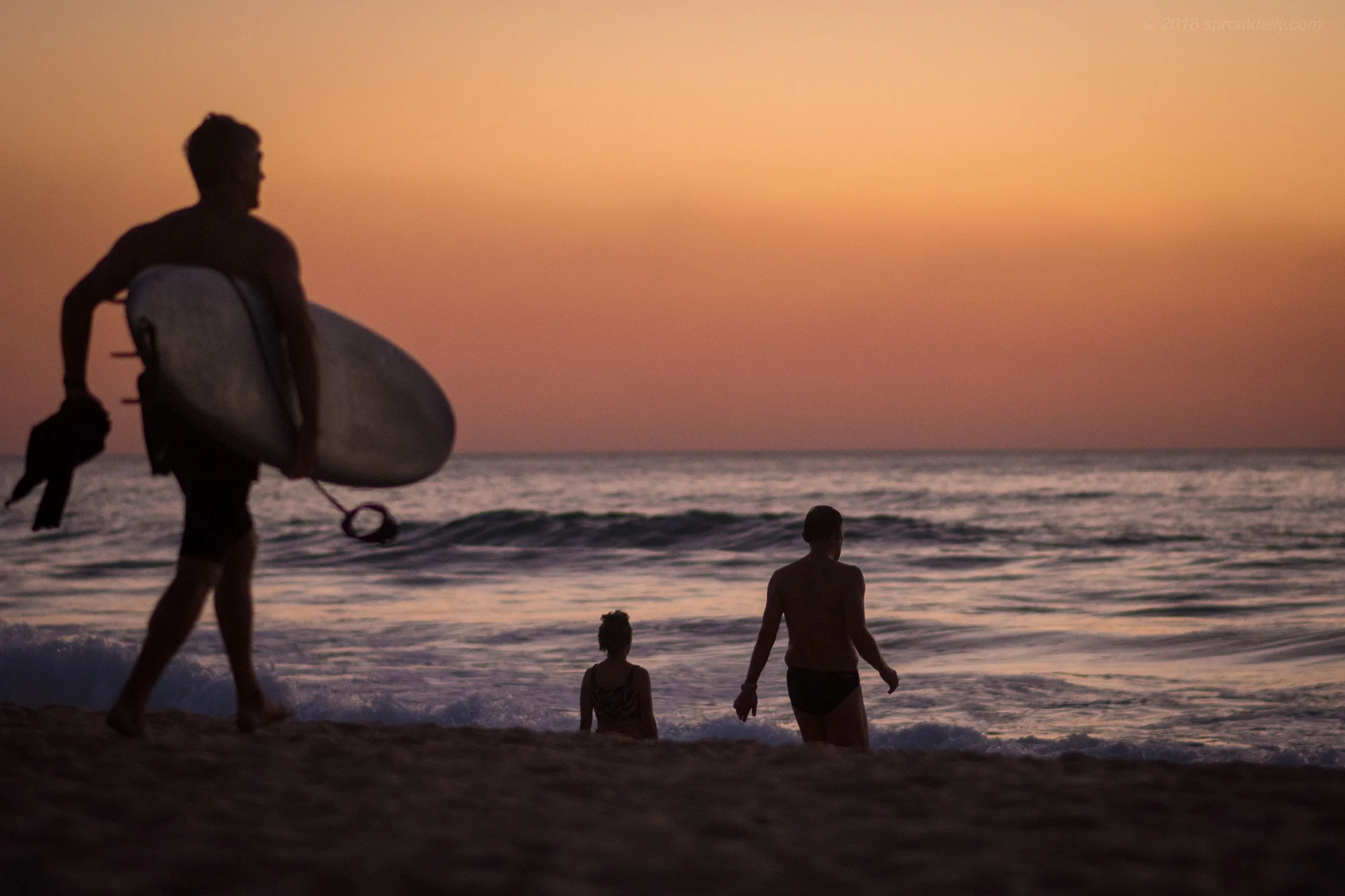 Dawn Silhouettes 