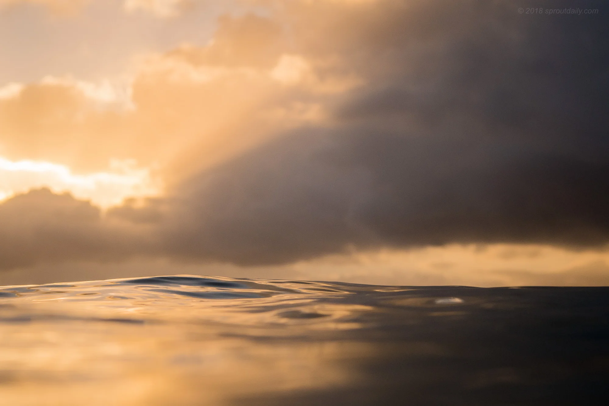 Celestial Surface 