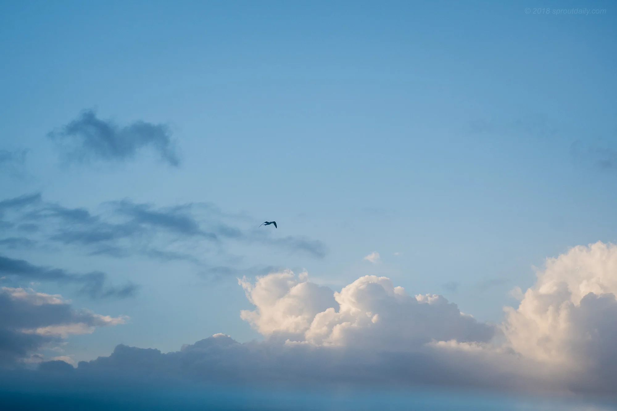 Incoming Weather