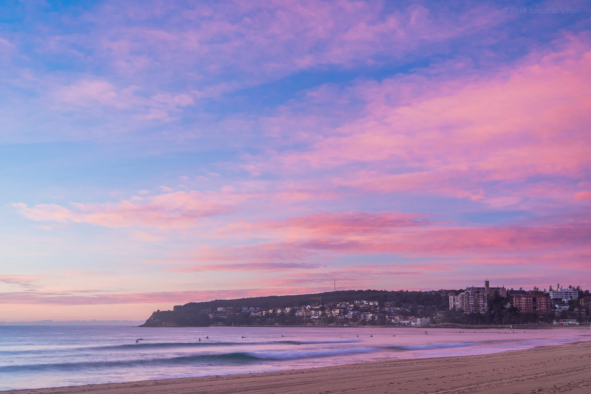 Winter Pinks