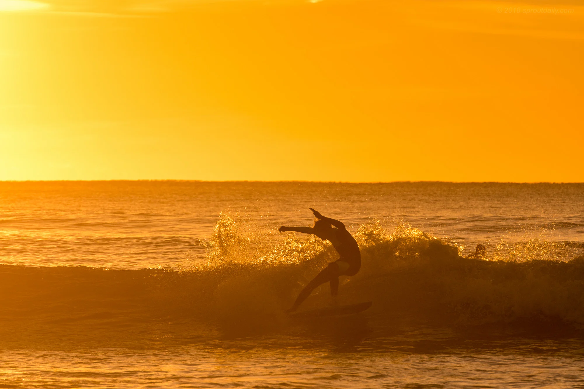 Working the fins
