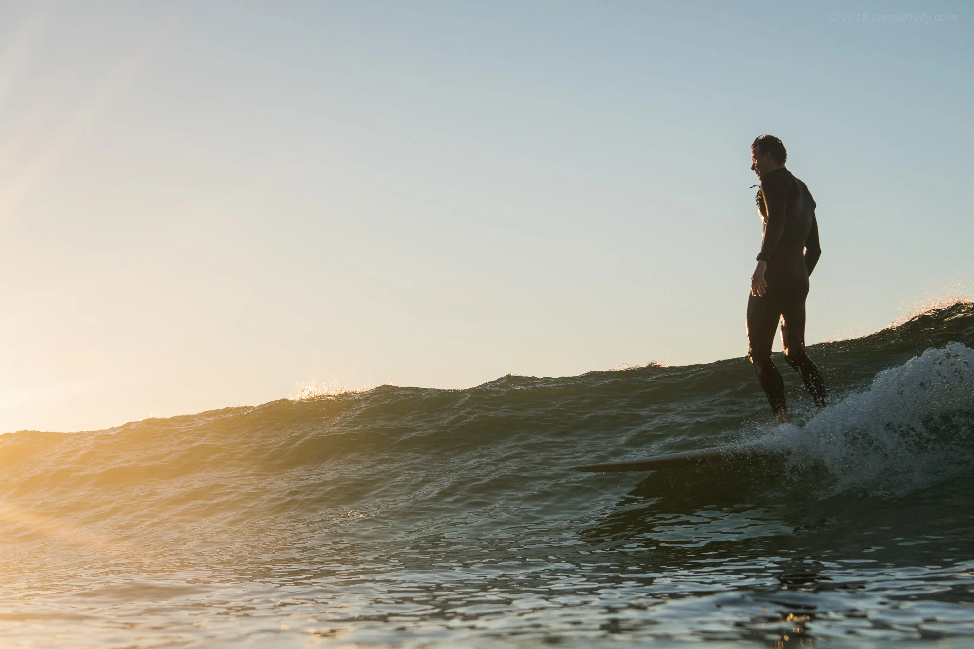 Into The Sun