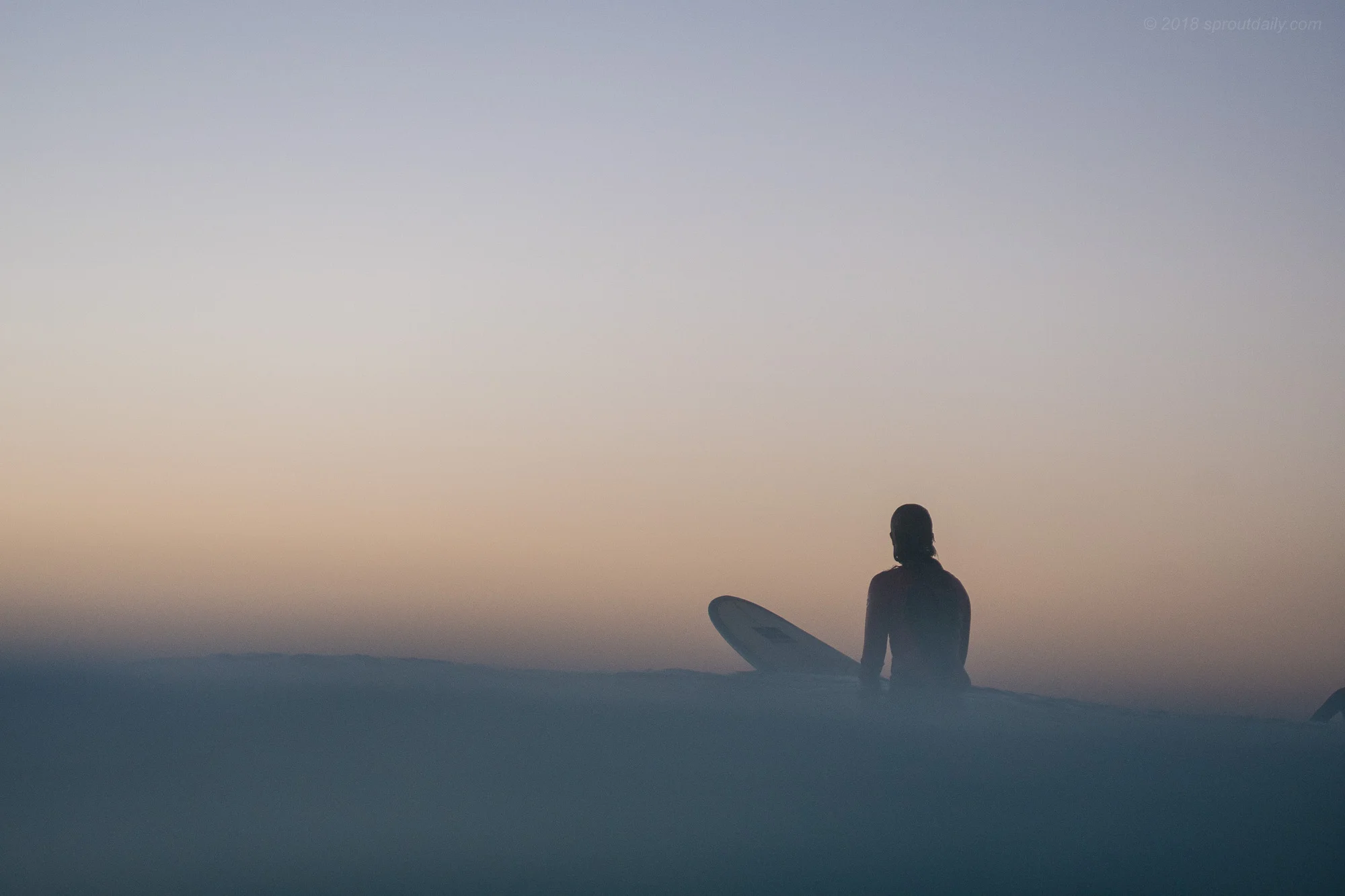Soft Horizon