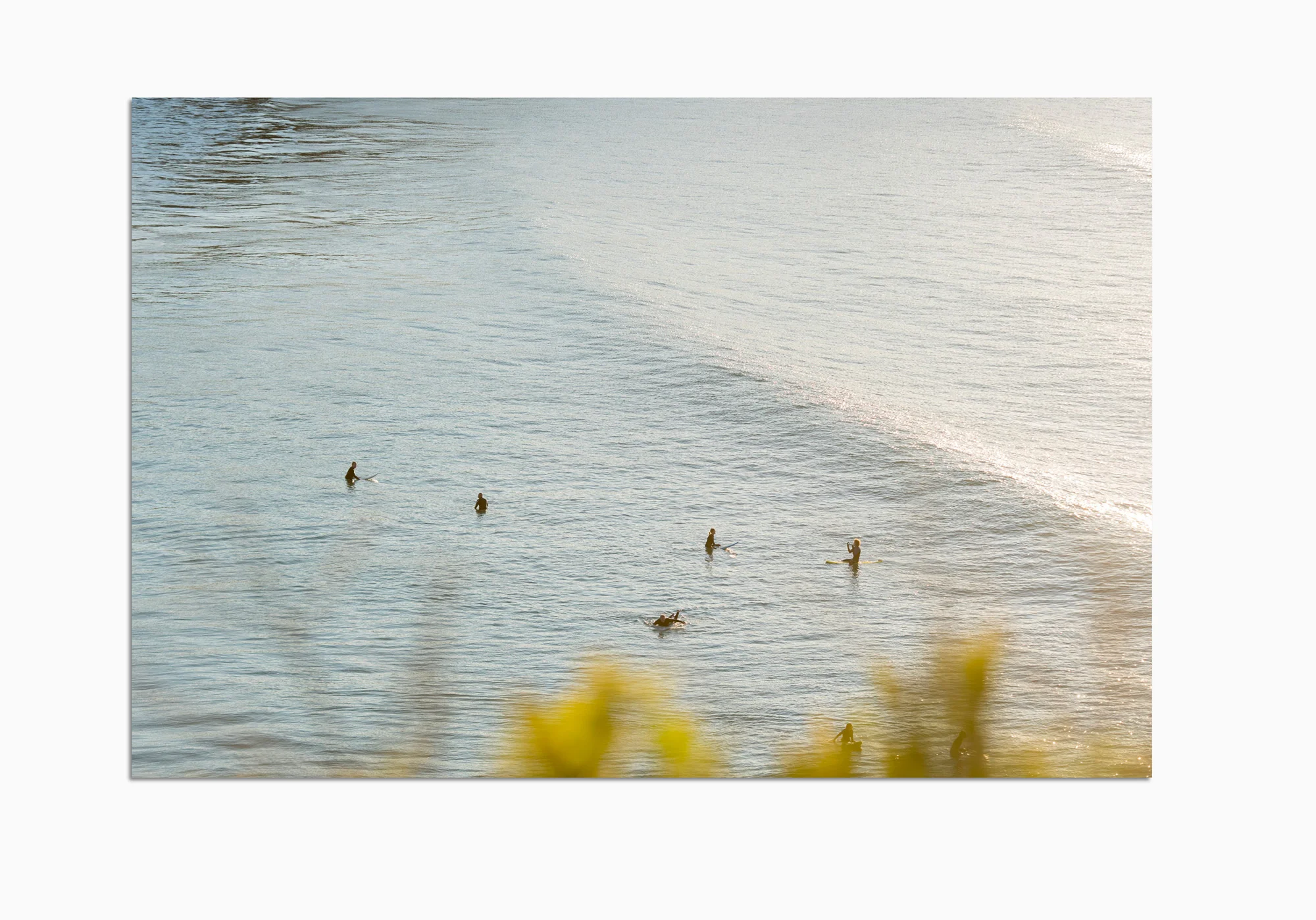 mfsprout_20180717_9-Acrylic-Frame.jpg