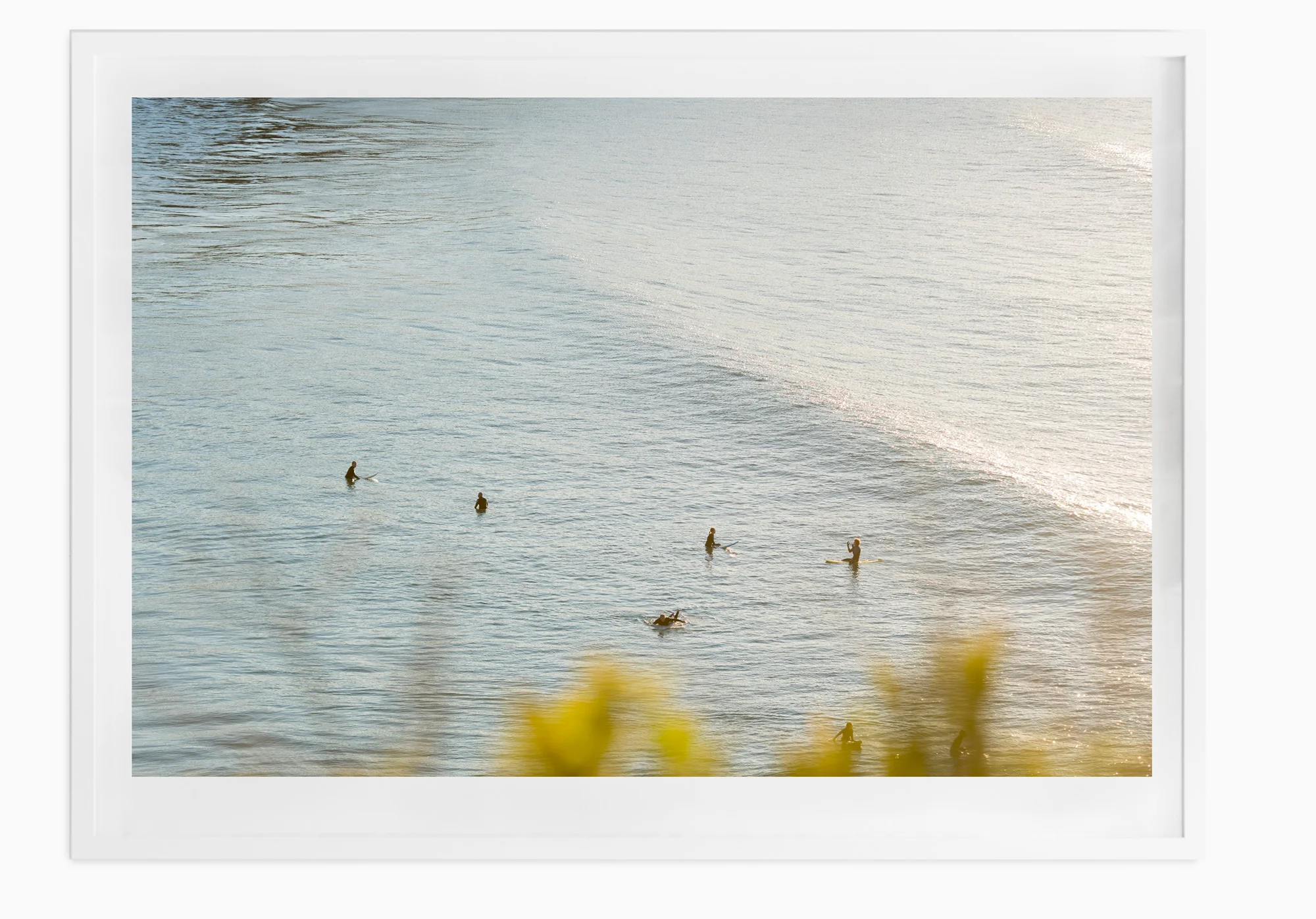 mfsprout_20180717_9-White-Frame.jpg