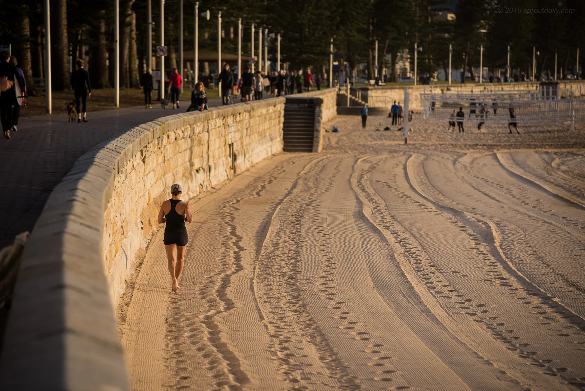Sandstone Tracks