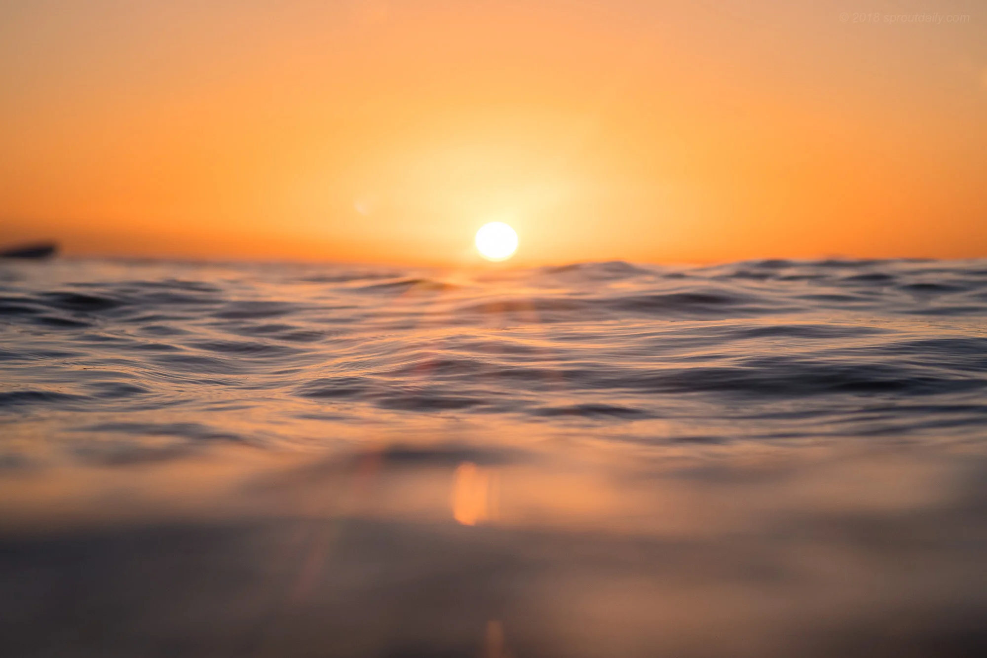 Surface Rising
