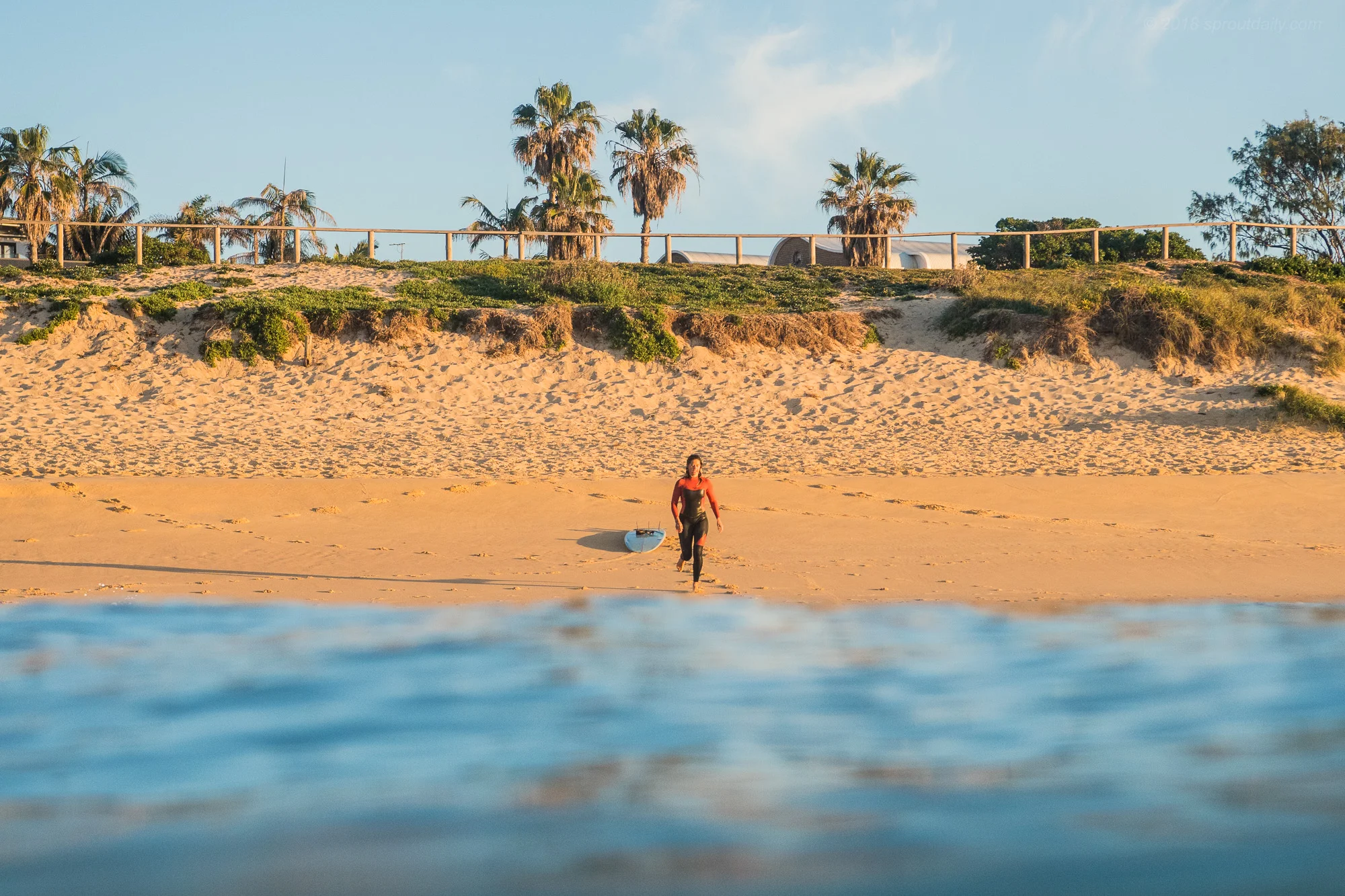 Ditch The Board!