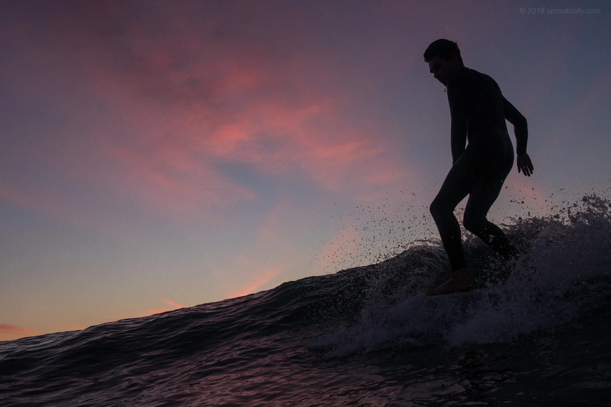 Dawn Moves