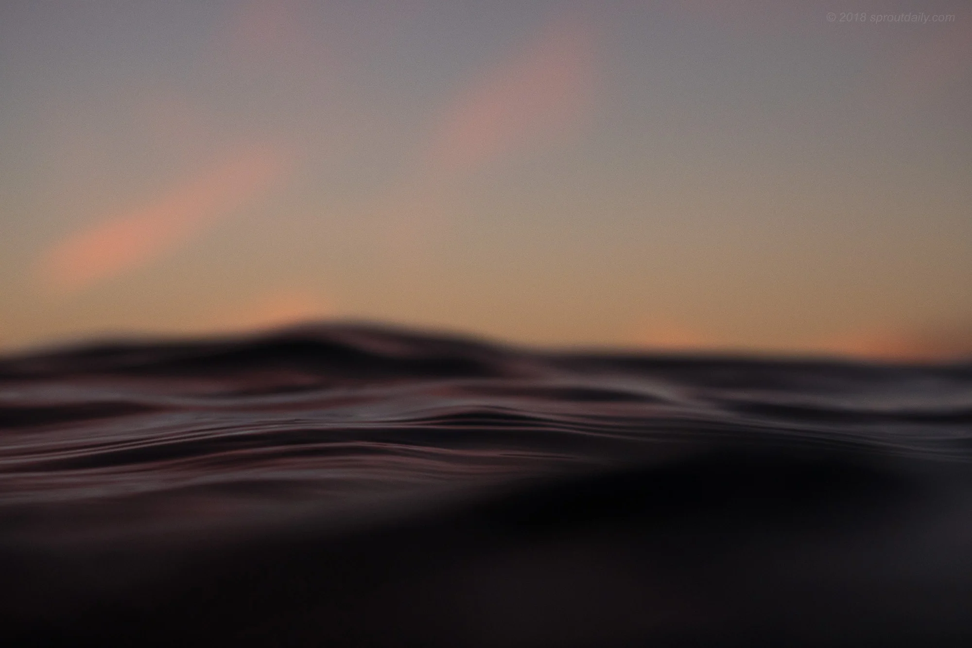 Surface Bumps