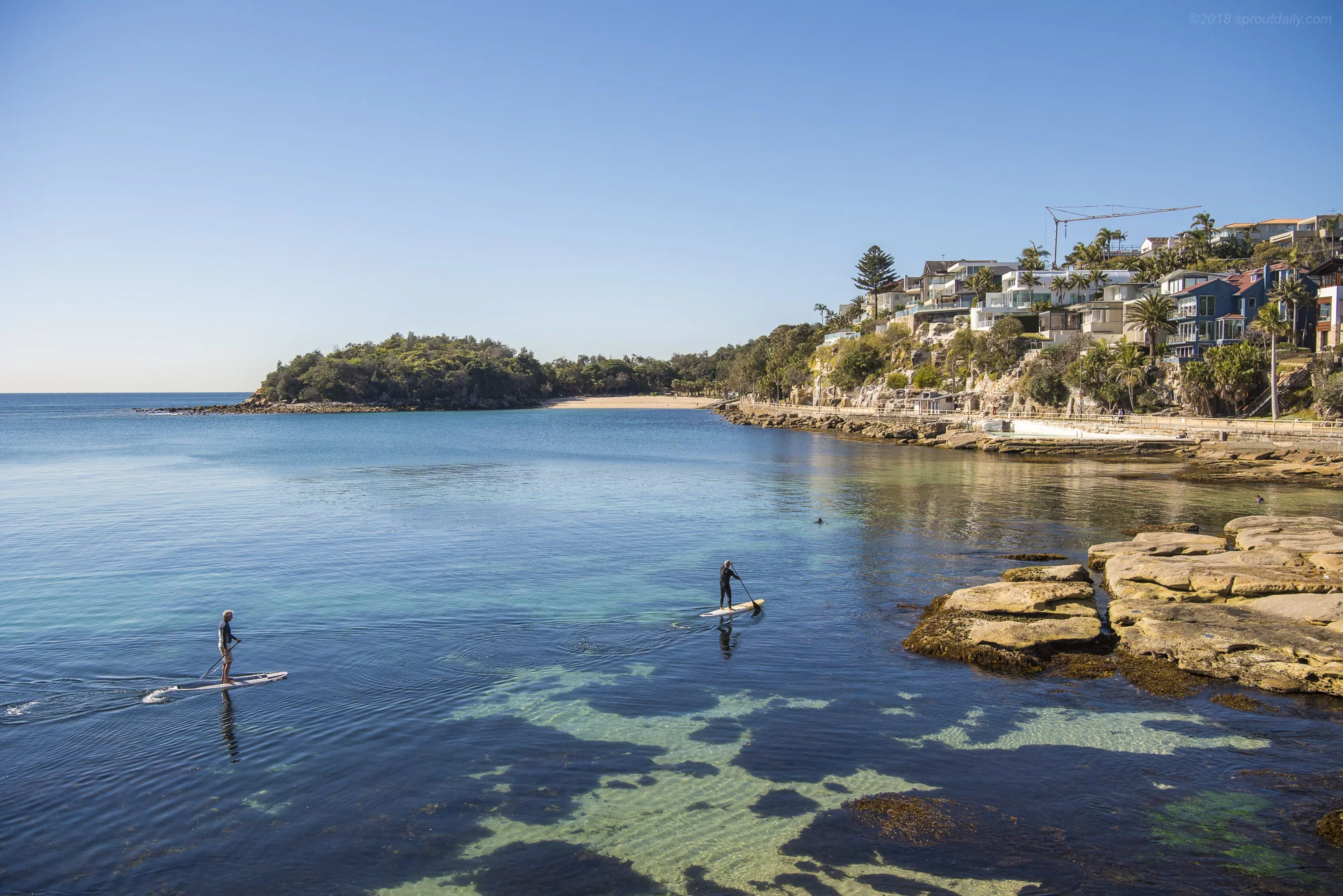 Bay Paddlers
