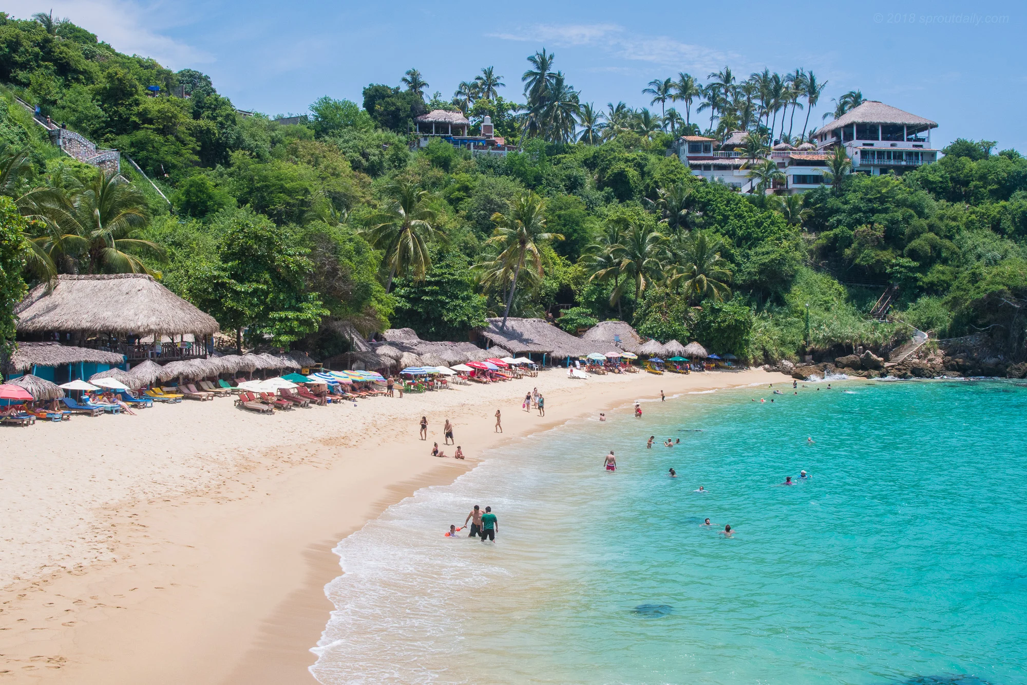 Playa Carrizalillo - A slice of paradise just around the corner!