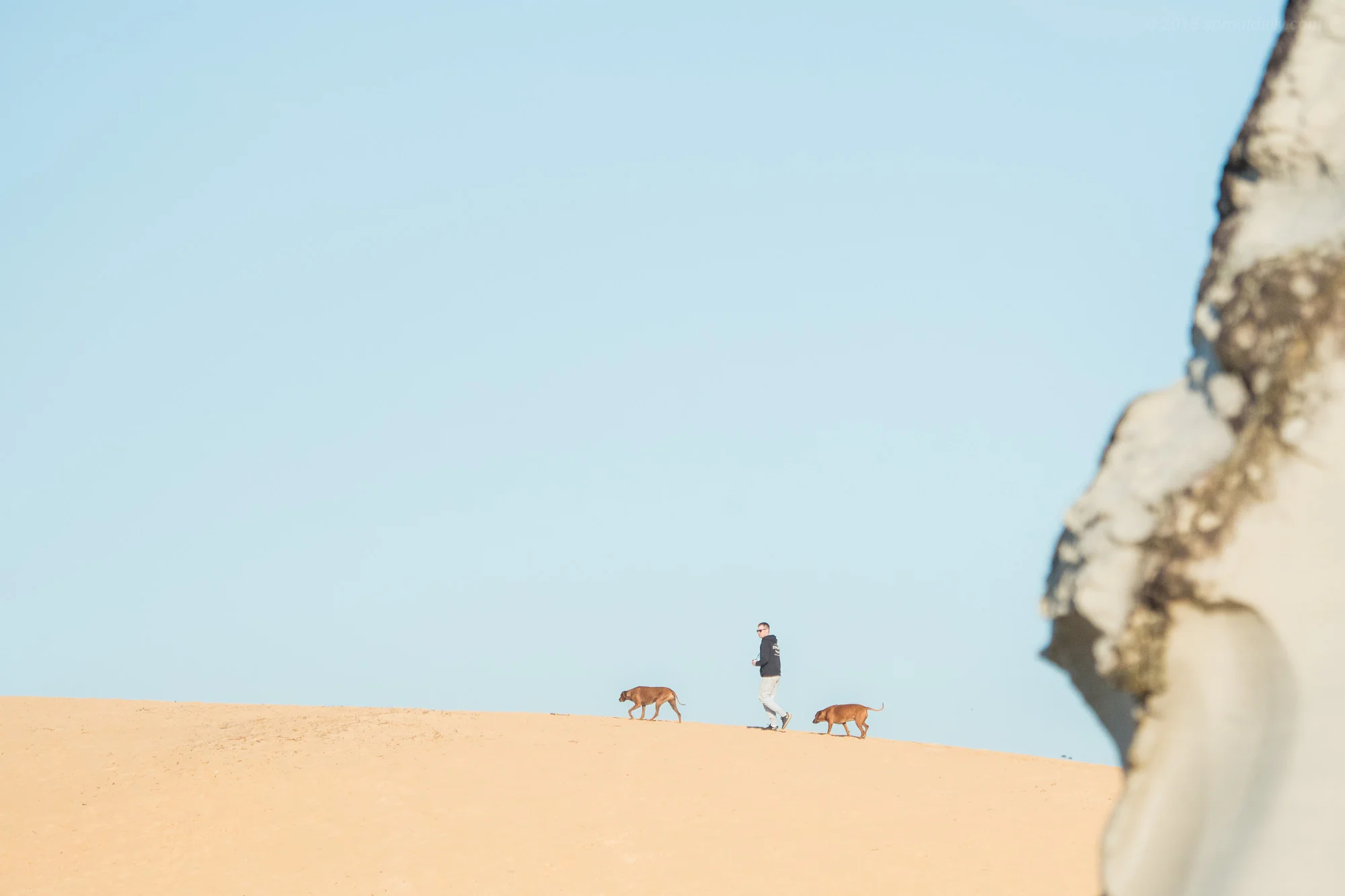 Dune Crew