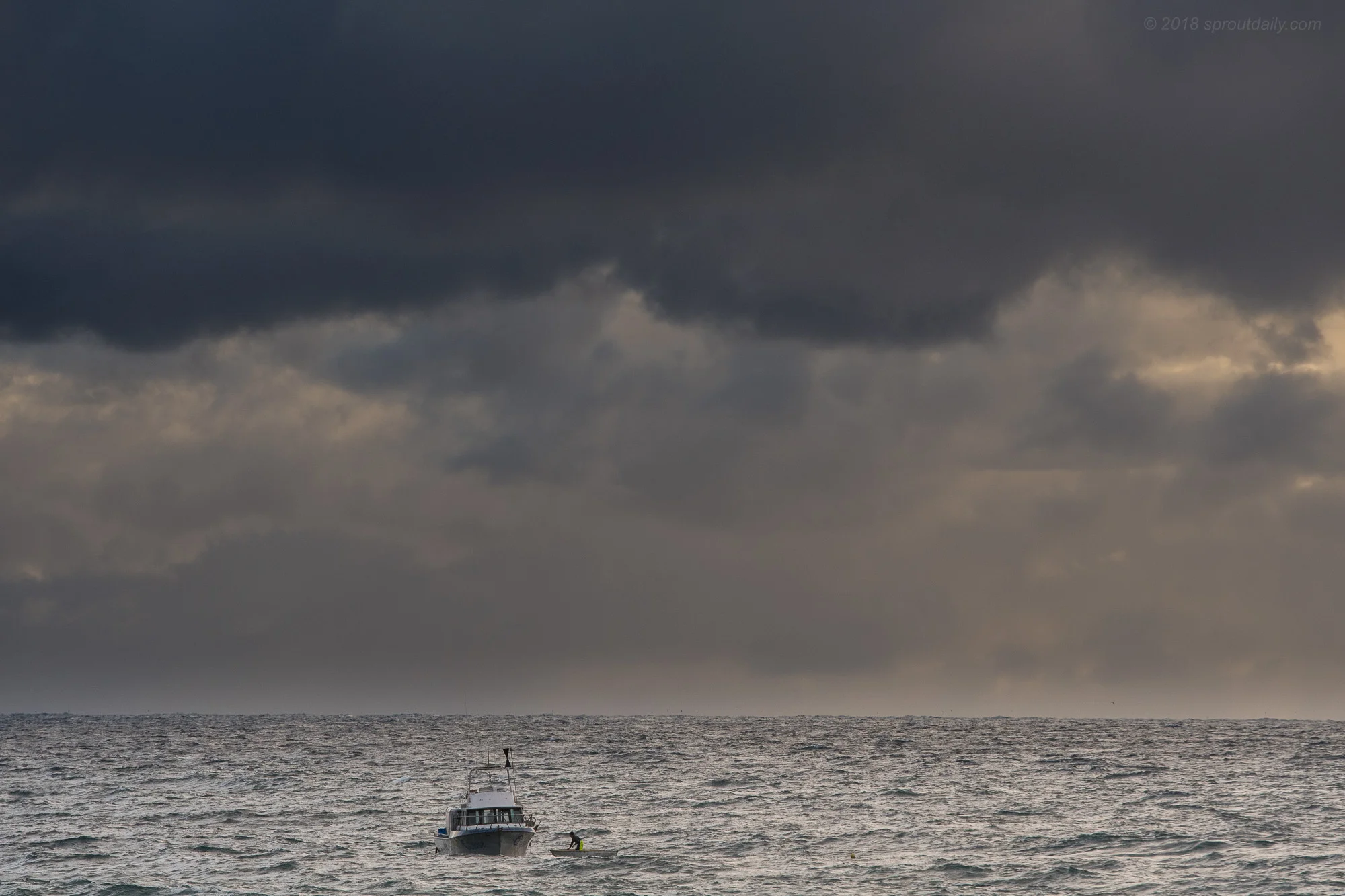 Tough day on the Shark Boat