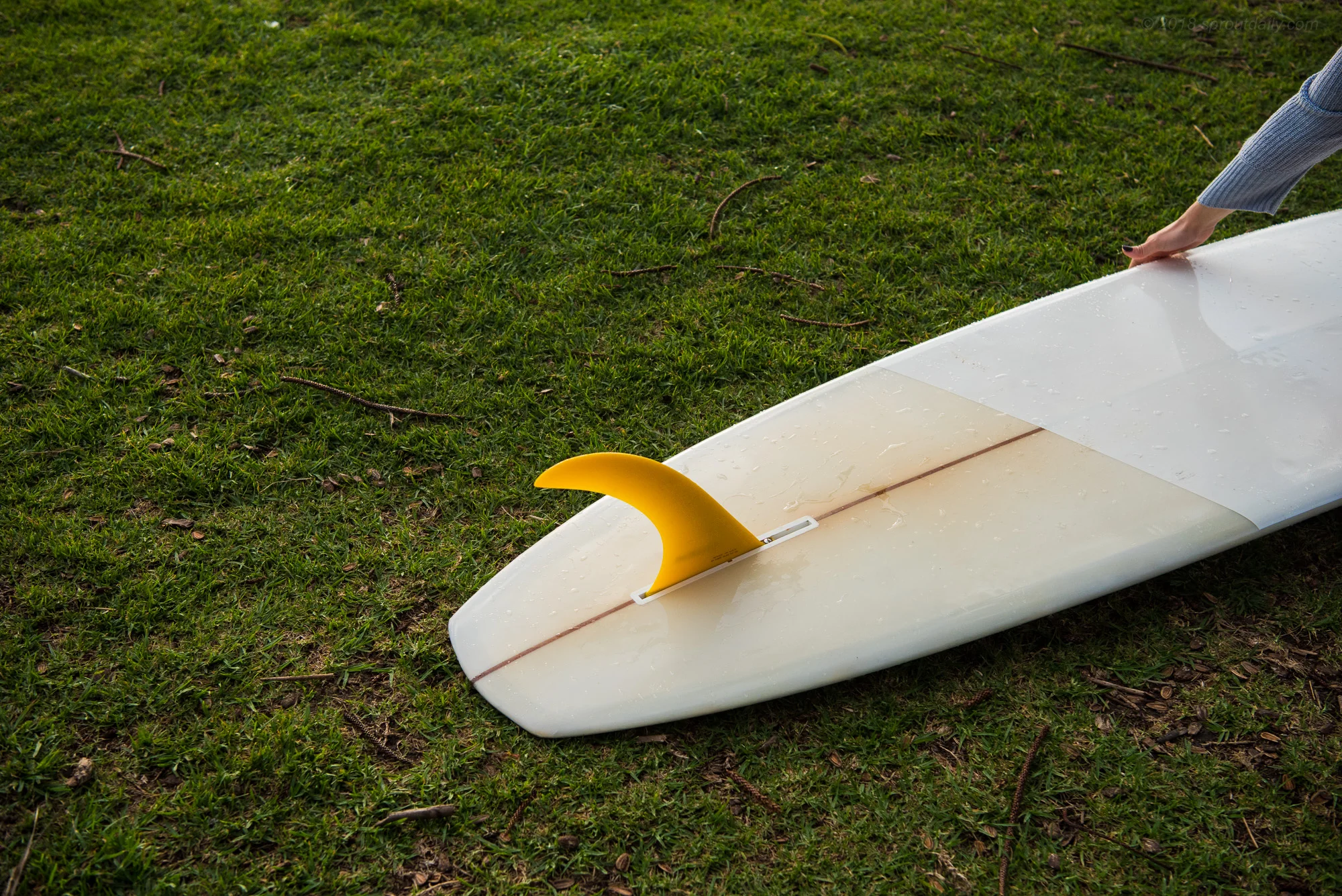Yellow Foil