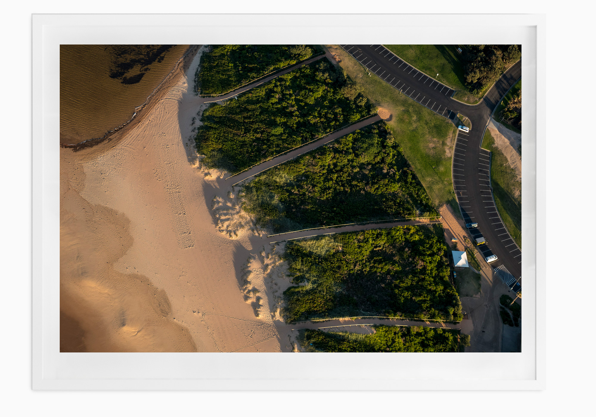 mfsprout_20170602_626-White-Frame.jpg