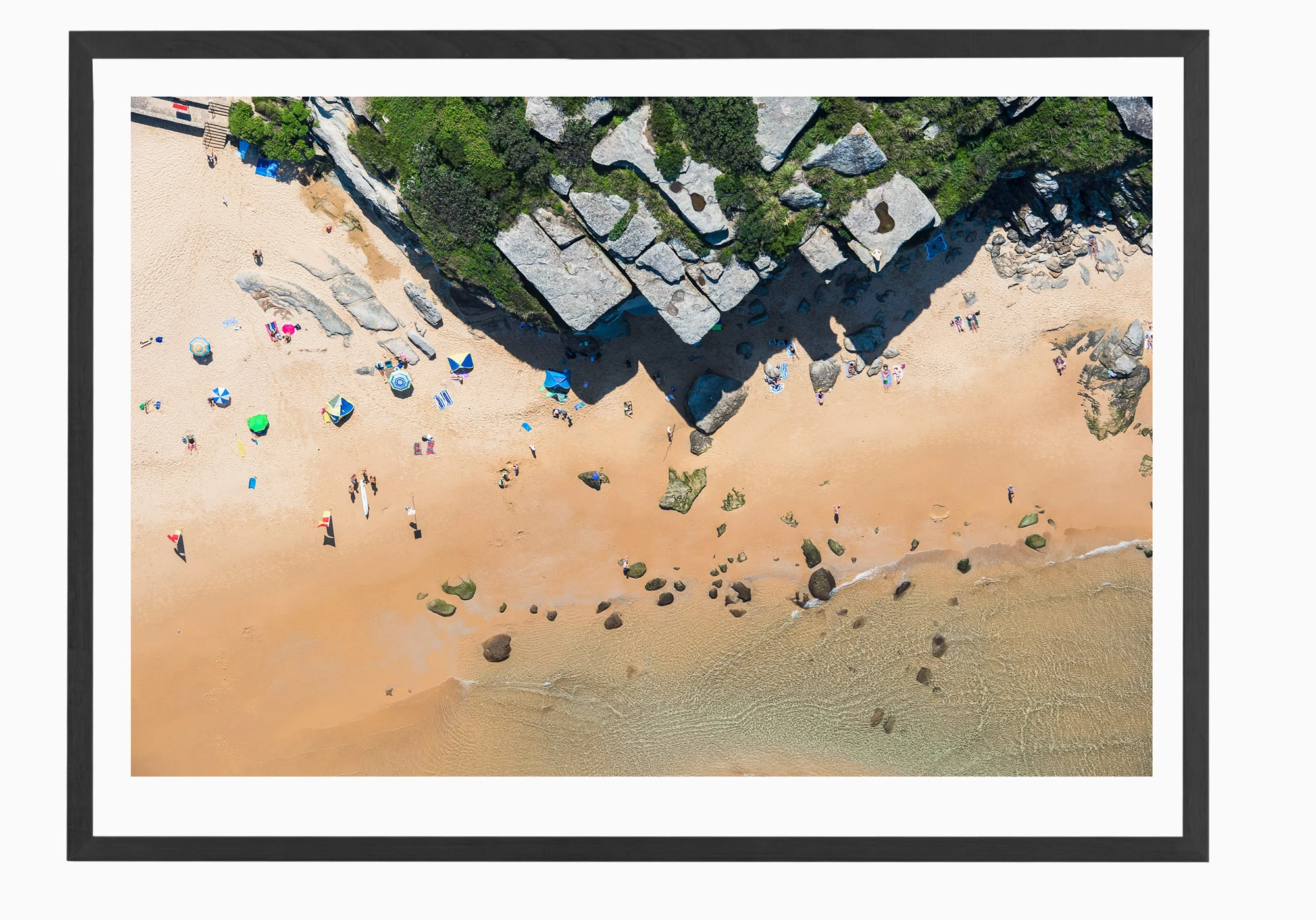mfsprout_20160406_1257-Black-Frame.jpg