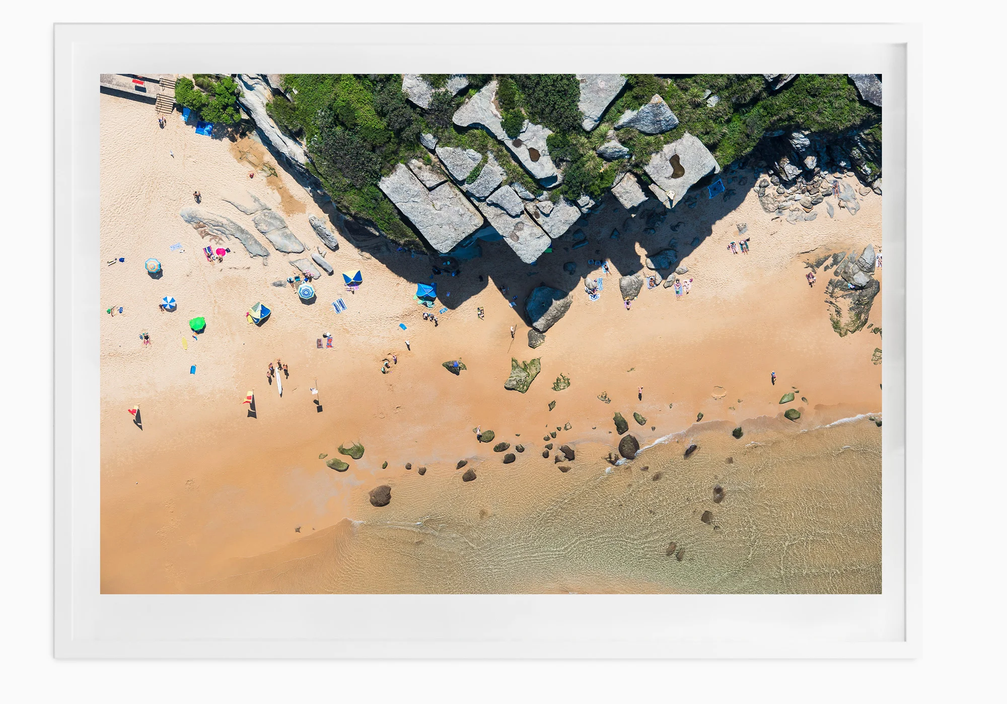 mfsprout_20160406_1257-White-Frame.jpg
