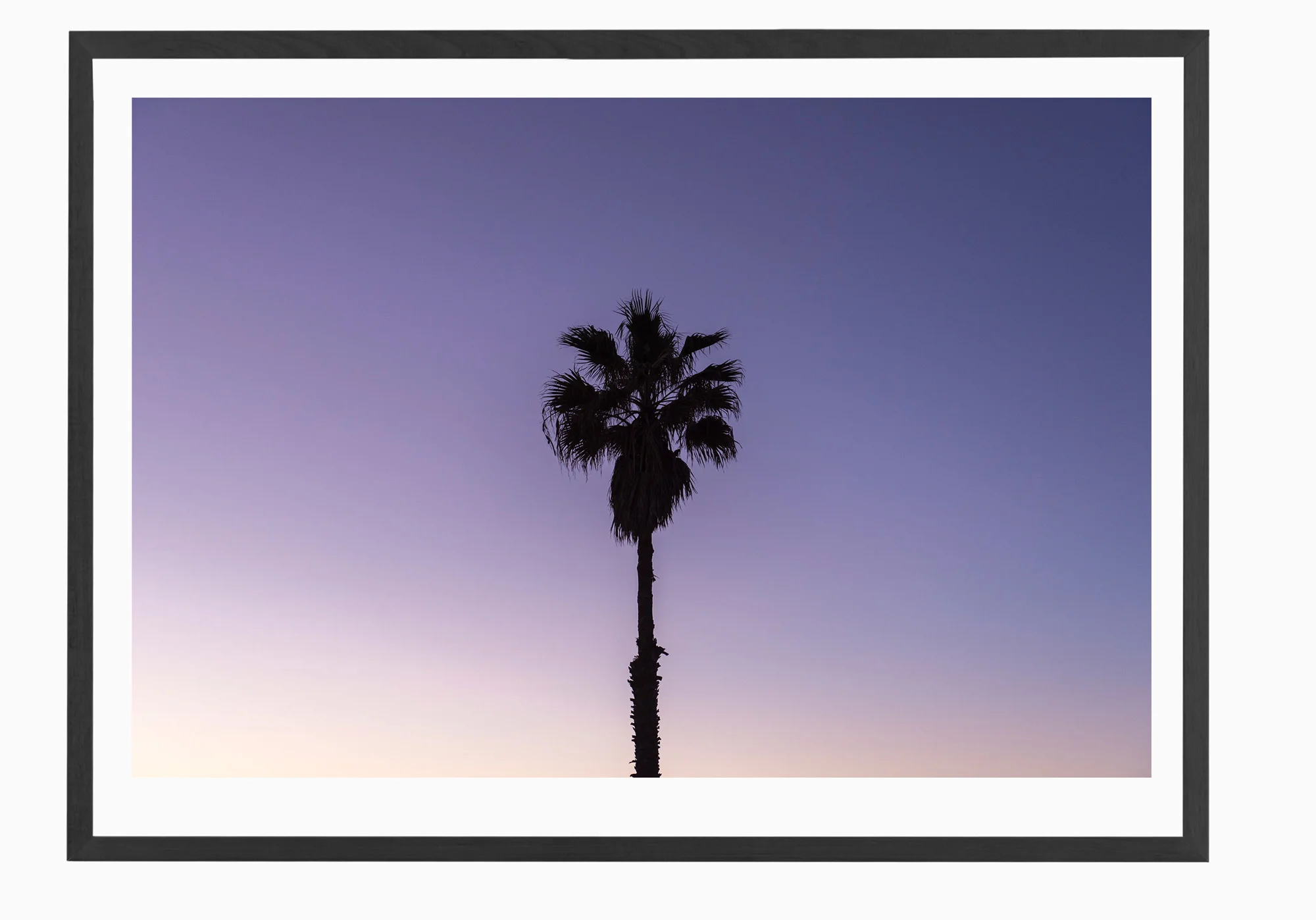 mfsprout_20170706_8-Black-Frame.jpg