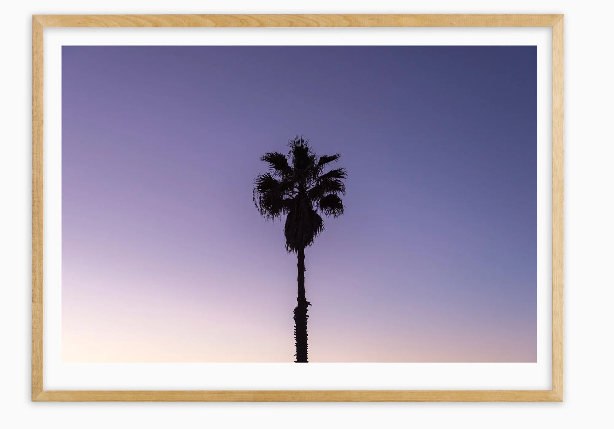 mfsprout_20170706_8-Tassy-Oak-Frame.jpg
