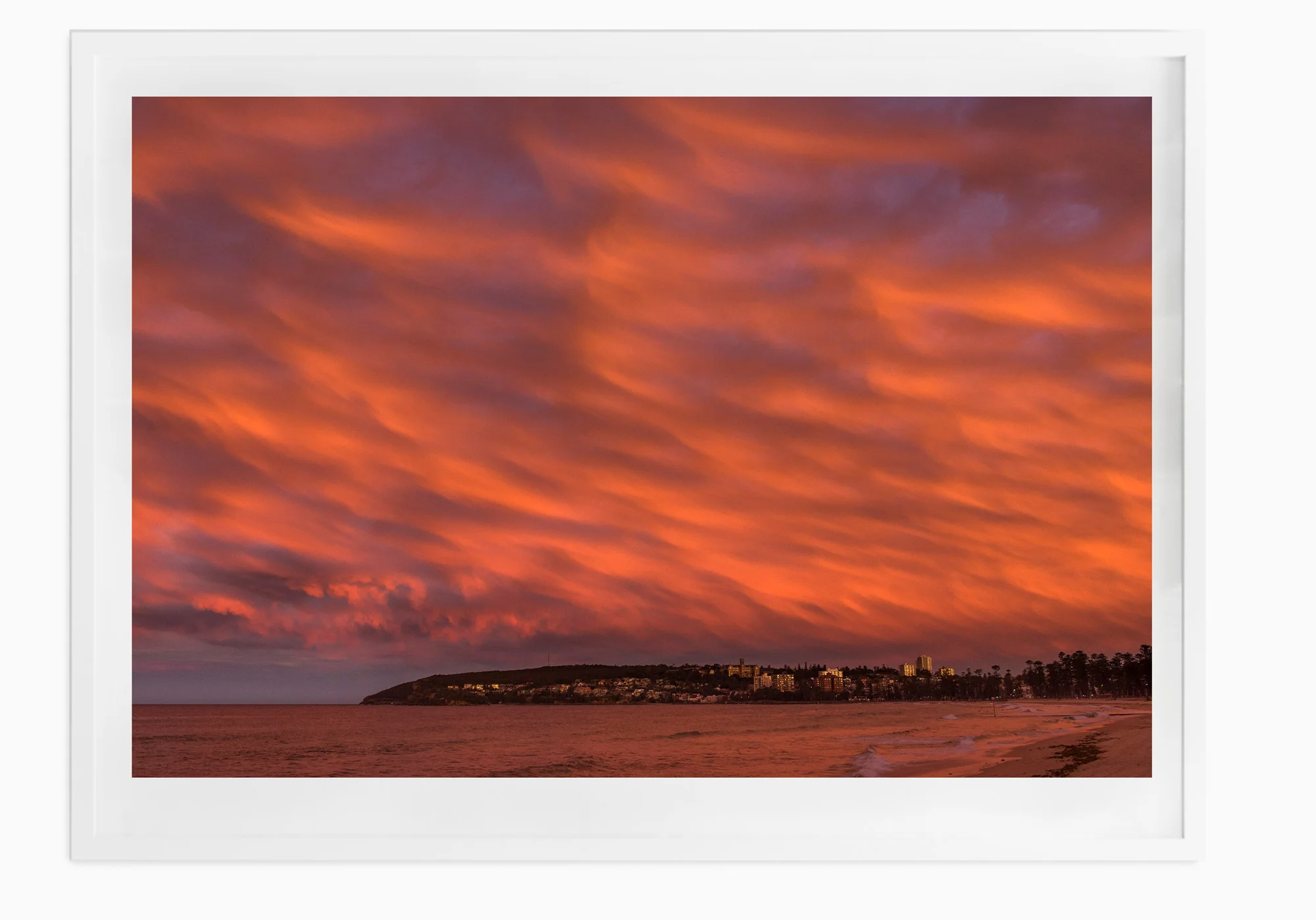 mfsprout_20160630_1111-White-Frame.jpg