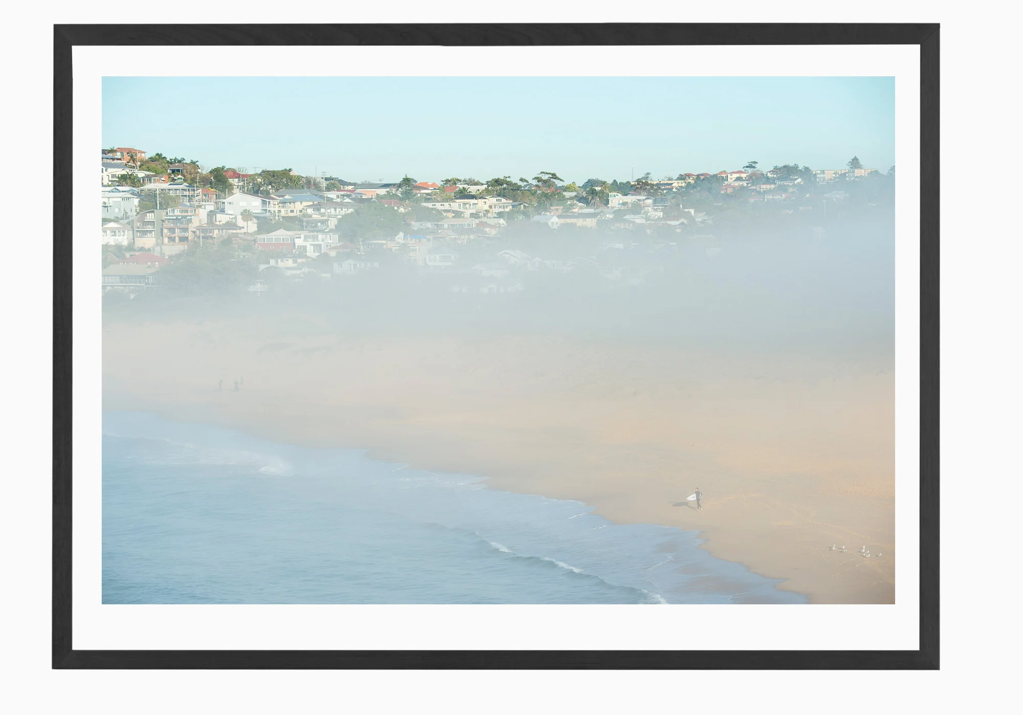mfsprout_20160718_370-Black-Frame.jpg