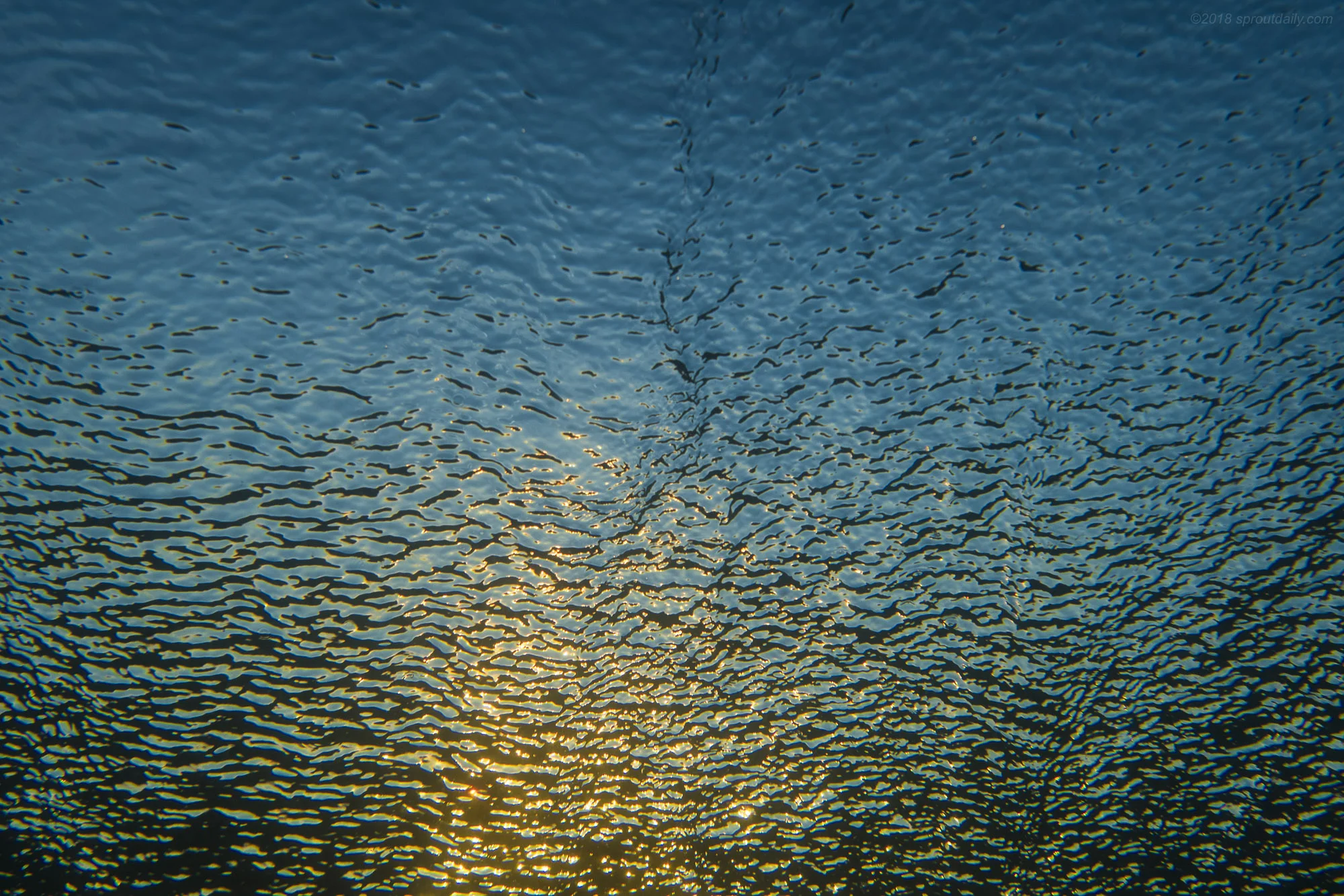 Subsurface Texture