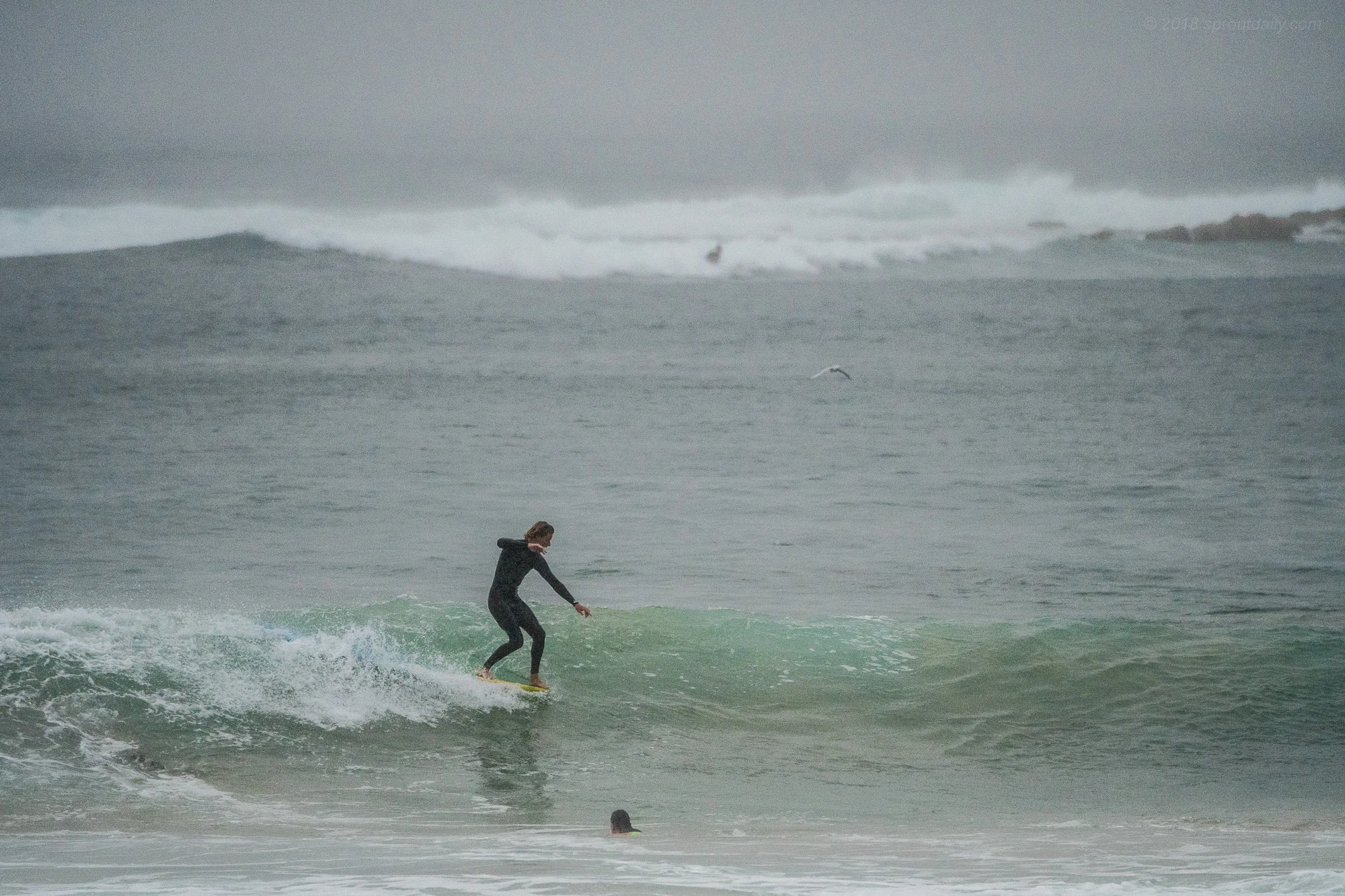 Matty strolling down South Steyne
