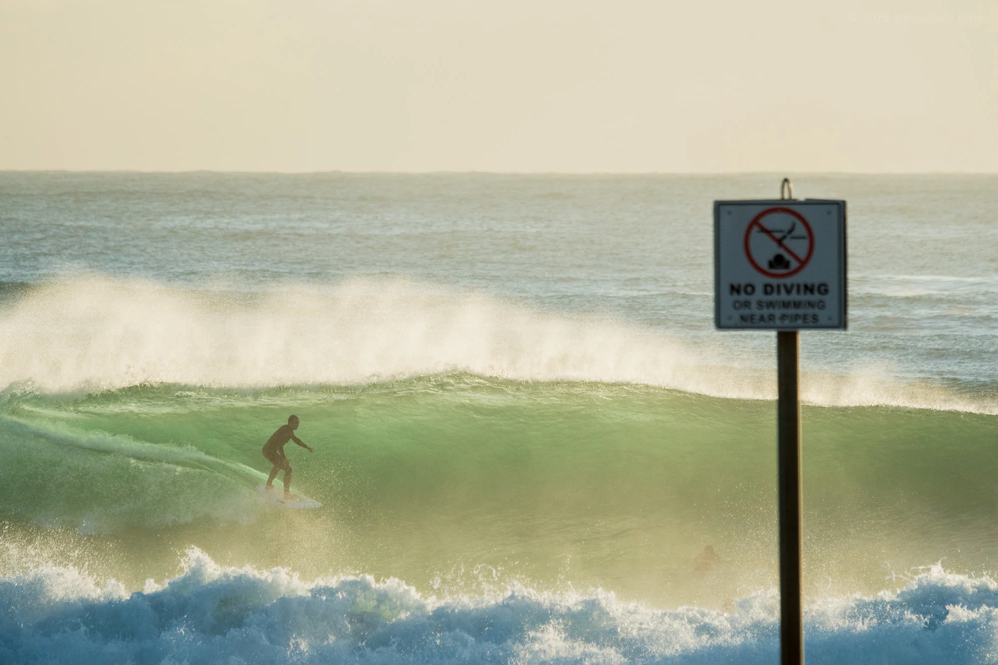 No Diving on this one…