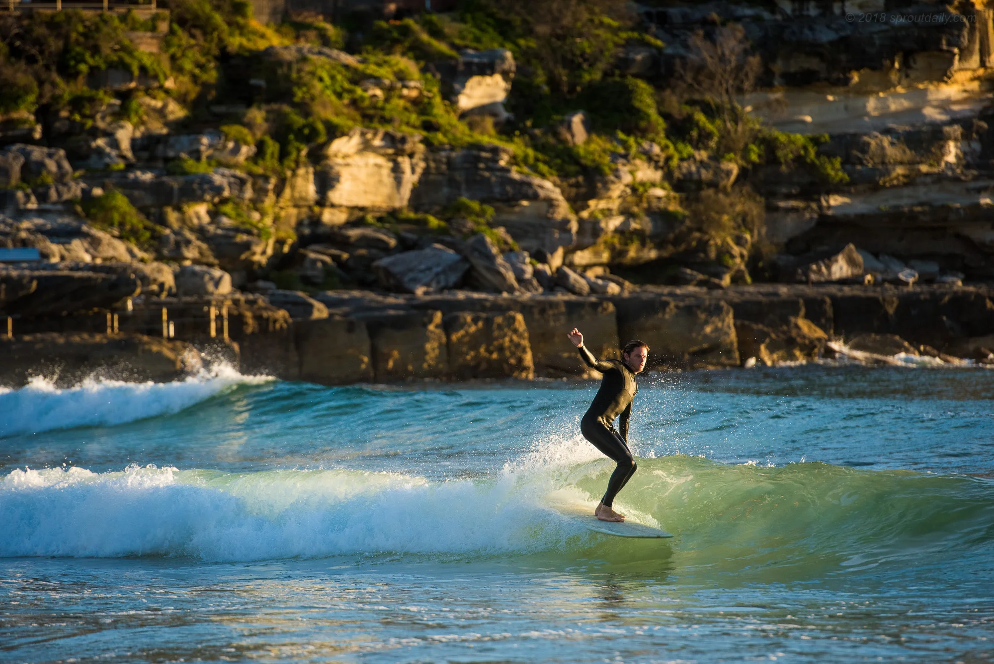 Shorey Speed Run