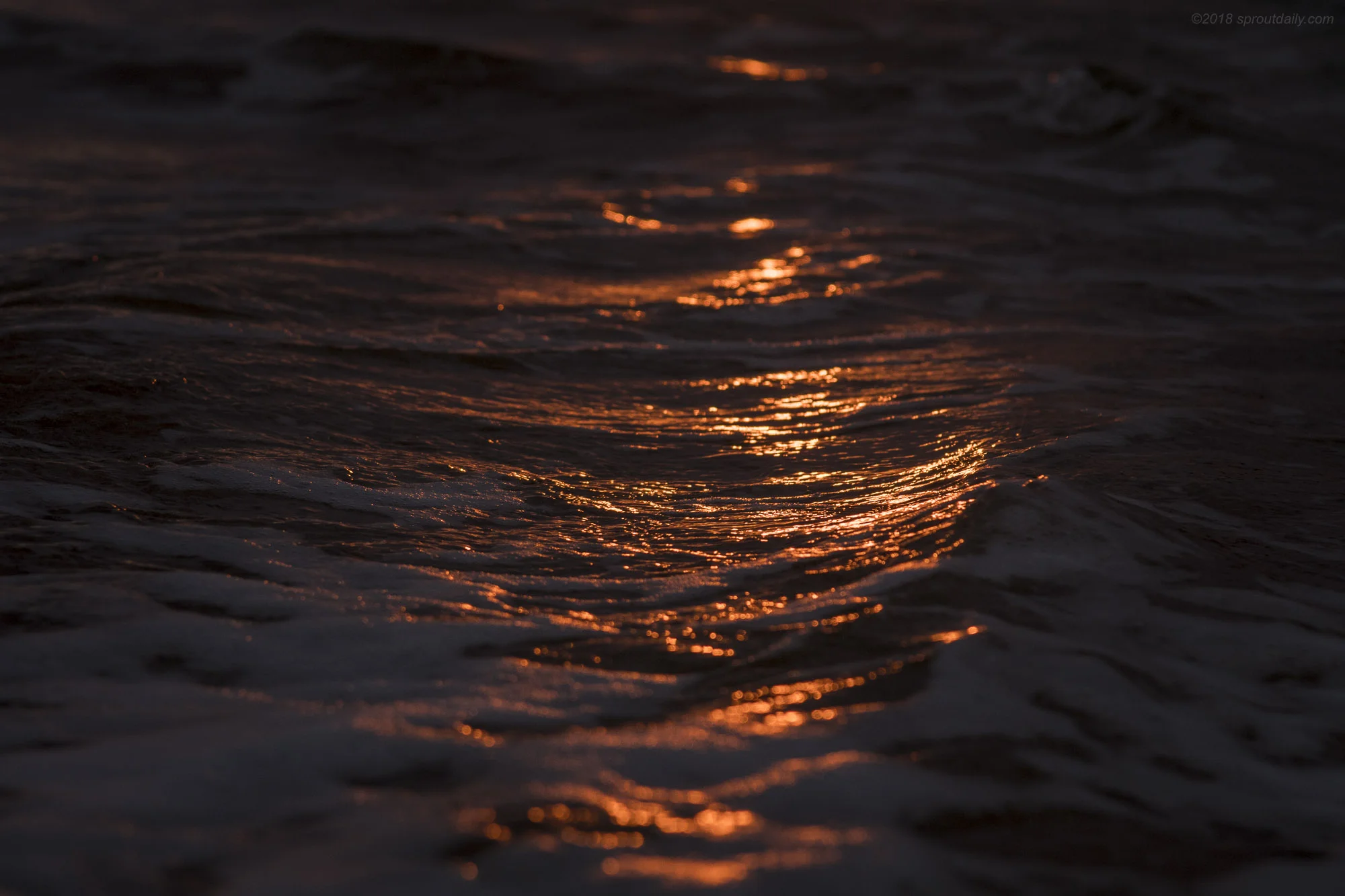 Golden Sea