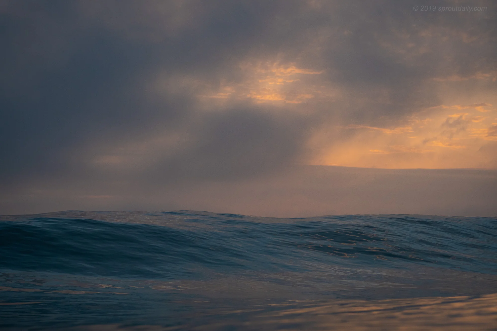 Silky Soft Surface